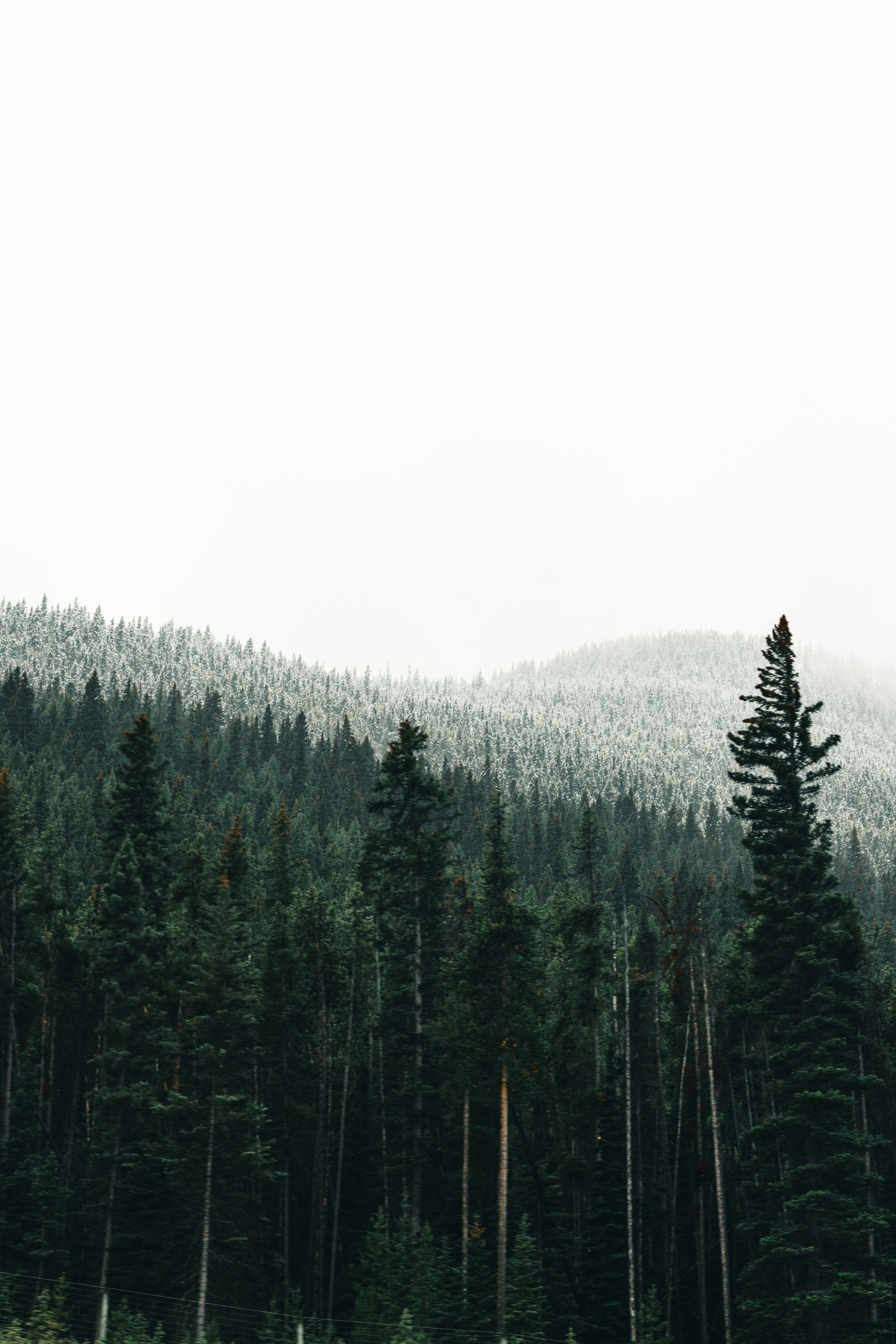 Photo by lureofadventure