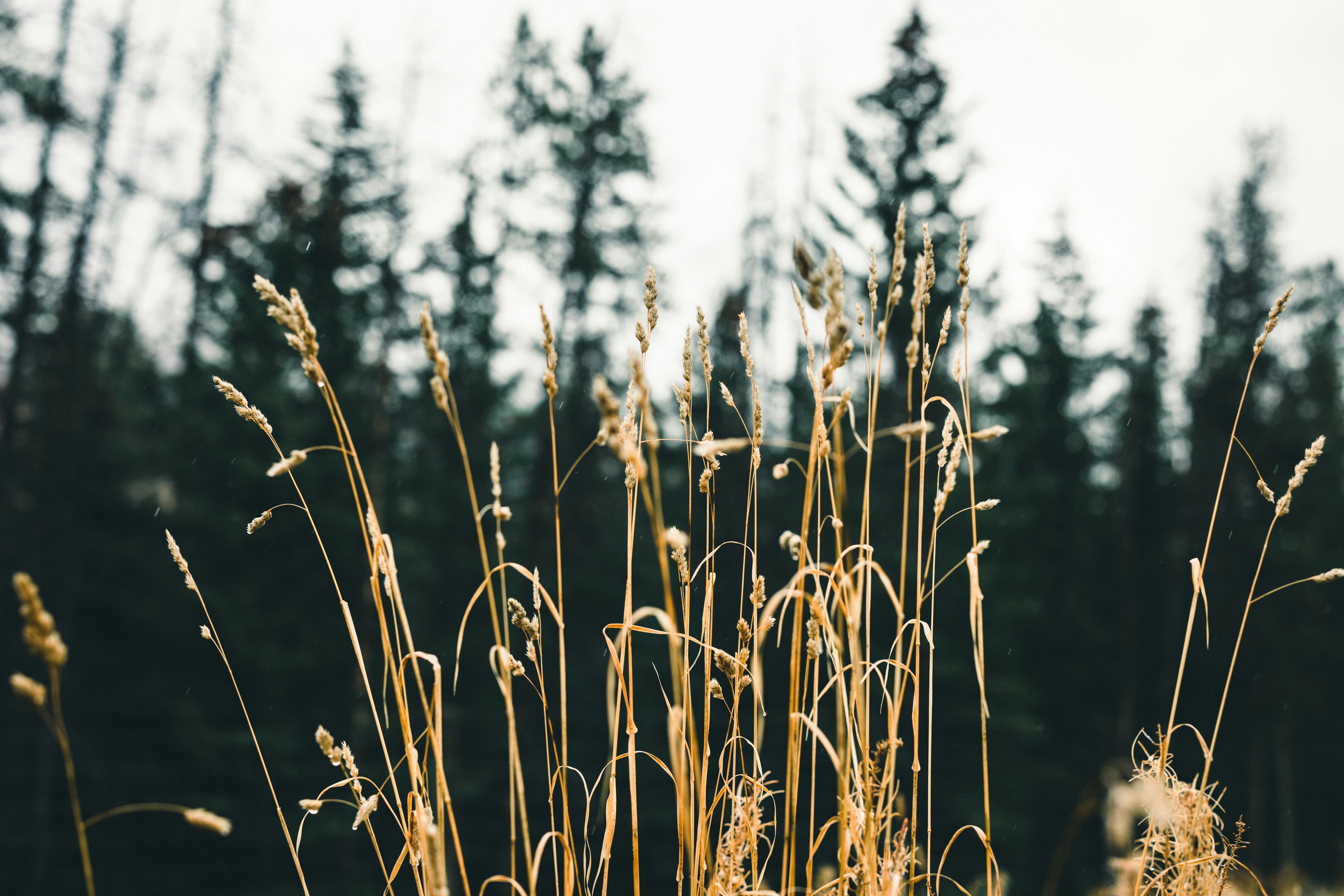 Photo by lureofadventure