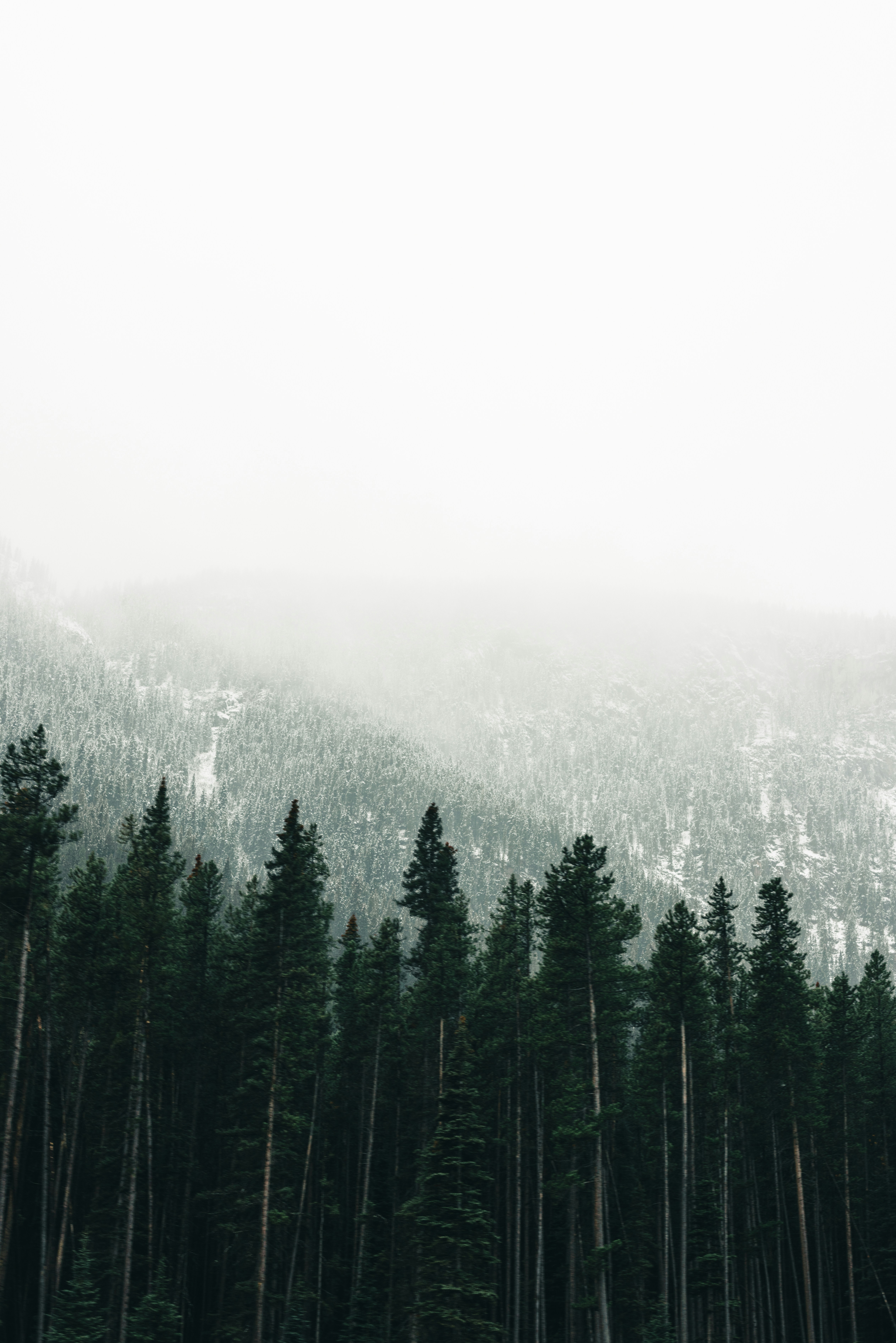 Photo by lureofadventure