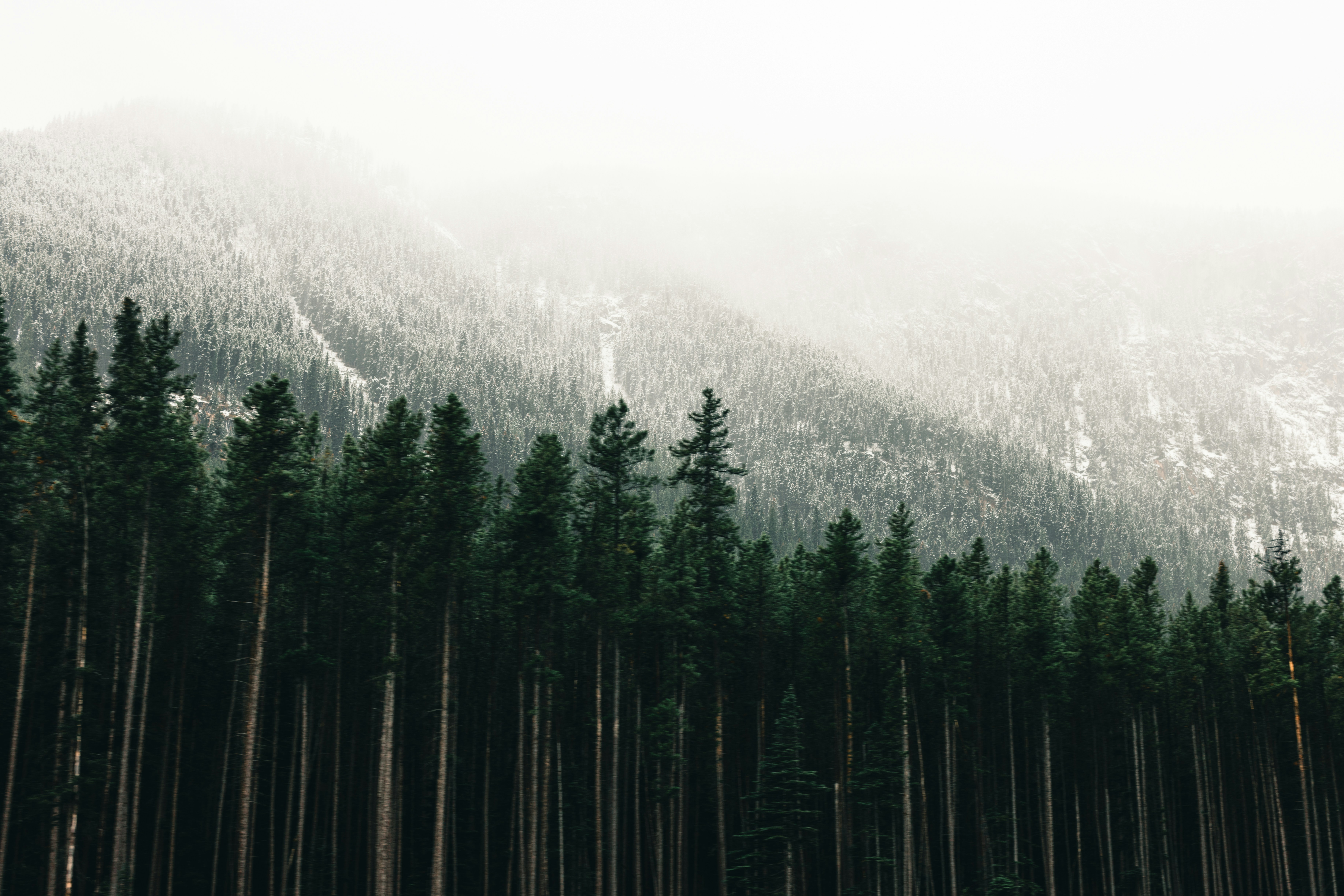 Photo by lureofadventure