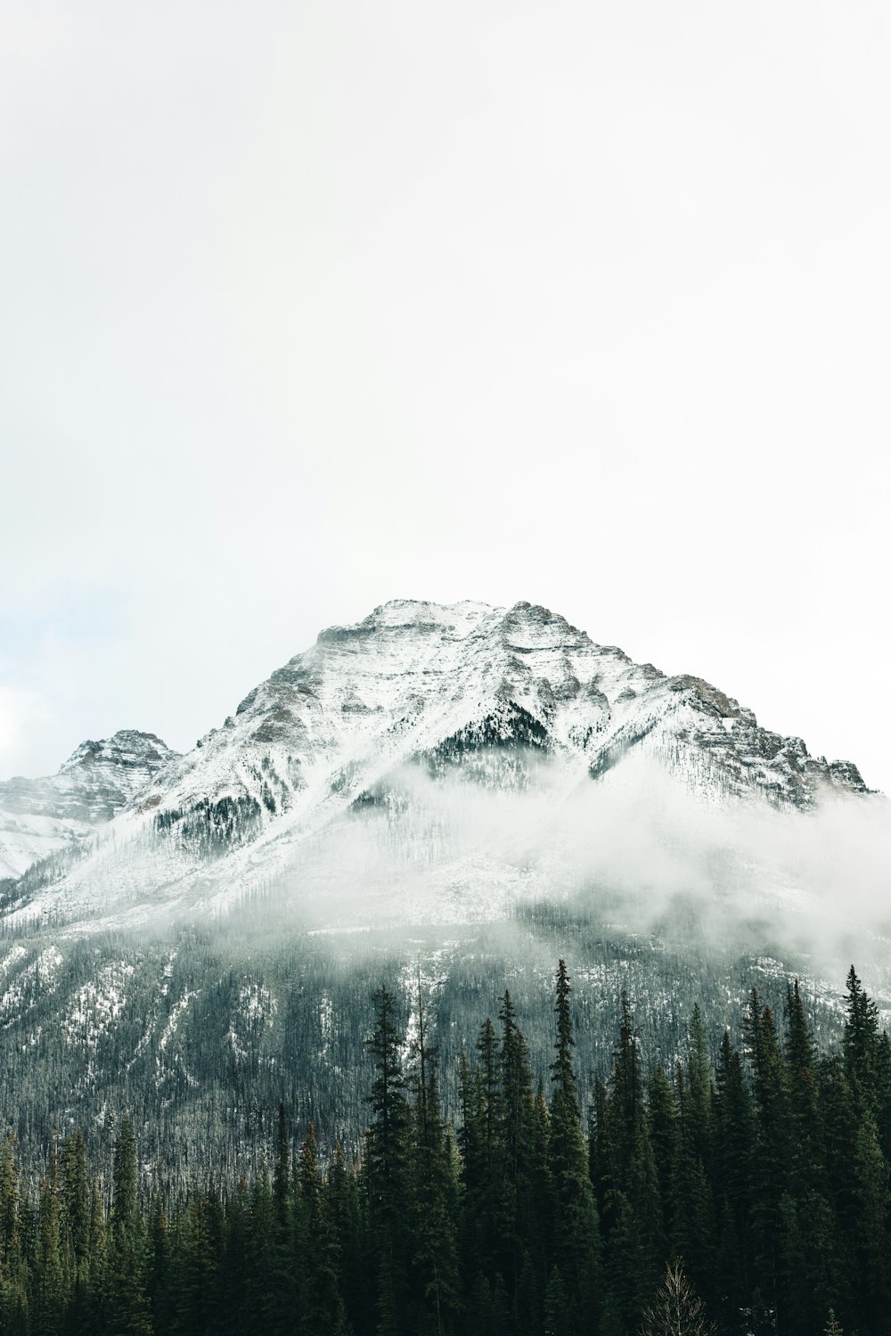 a mountain covered in snow and surrounded by trees