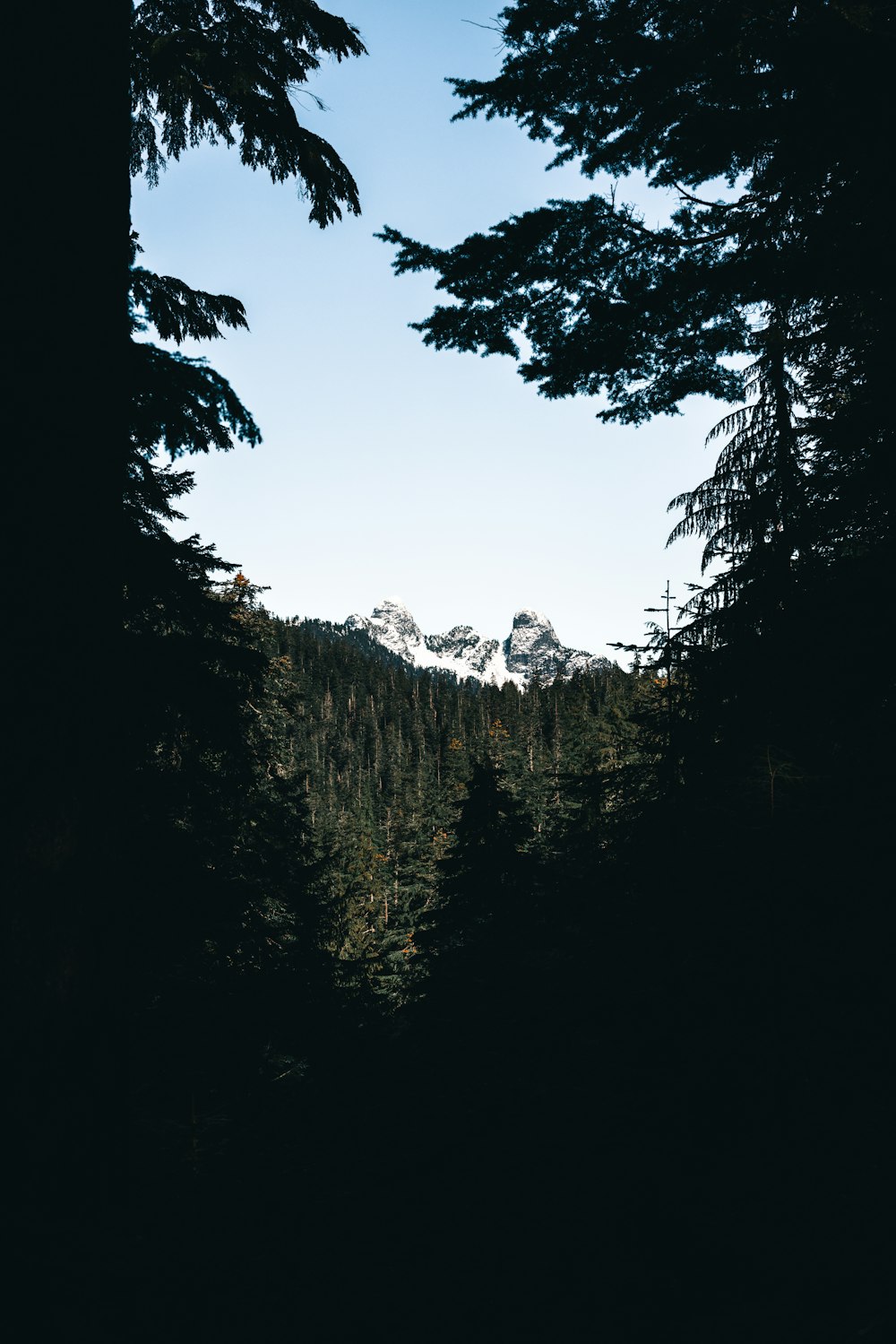 a view of a mountain through the trees