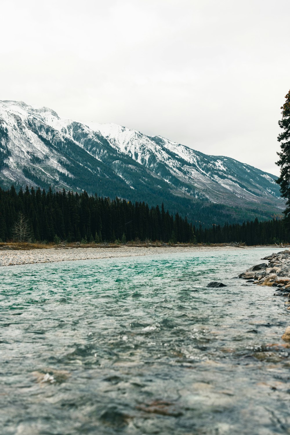 une rivière qui traverse une forêt remplie de montagnes enneigées