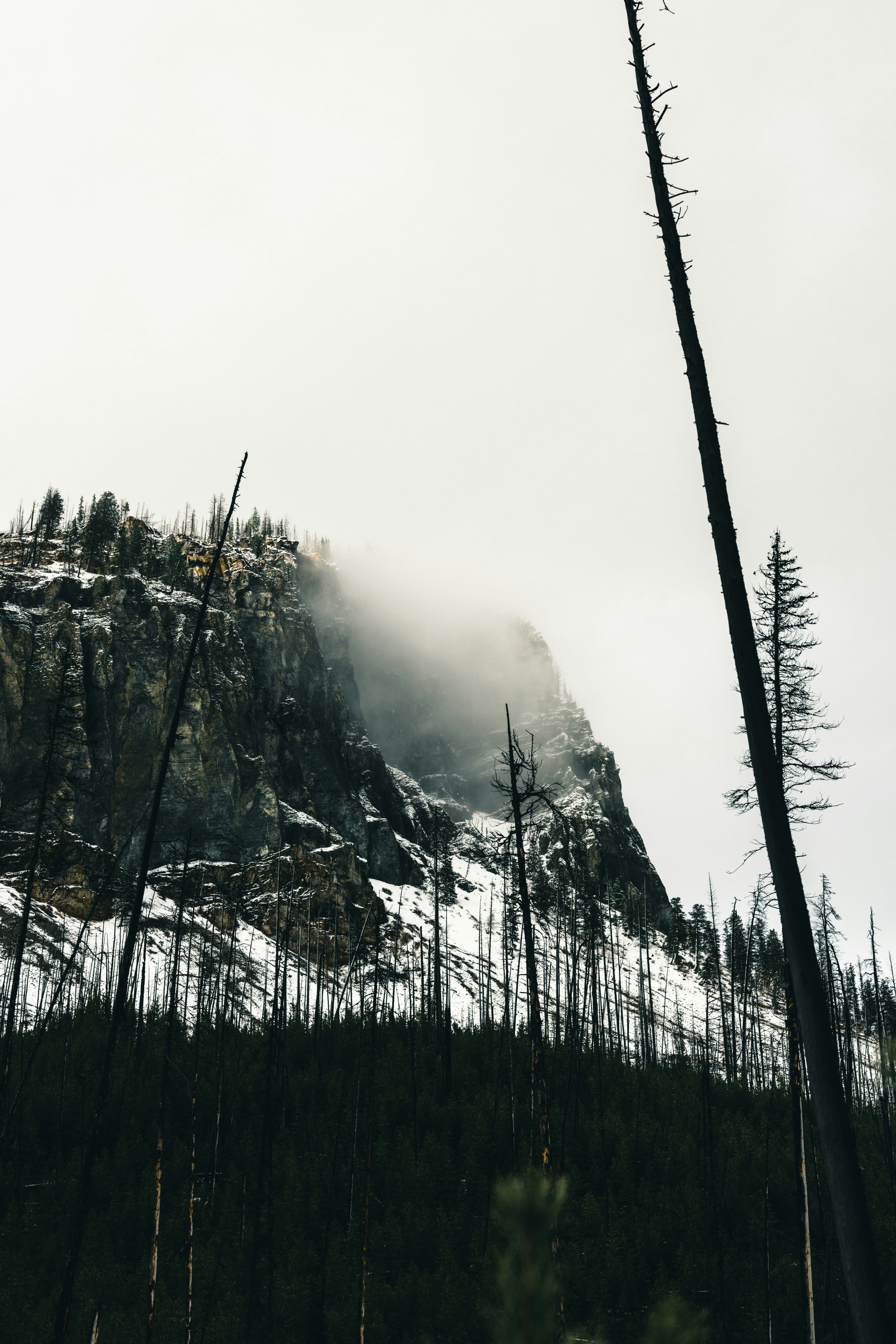 Photo by lureofadventure