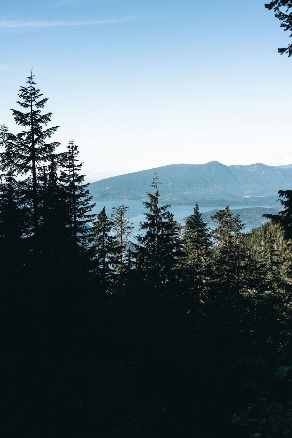 a view of a mountain range with trees in the foreground