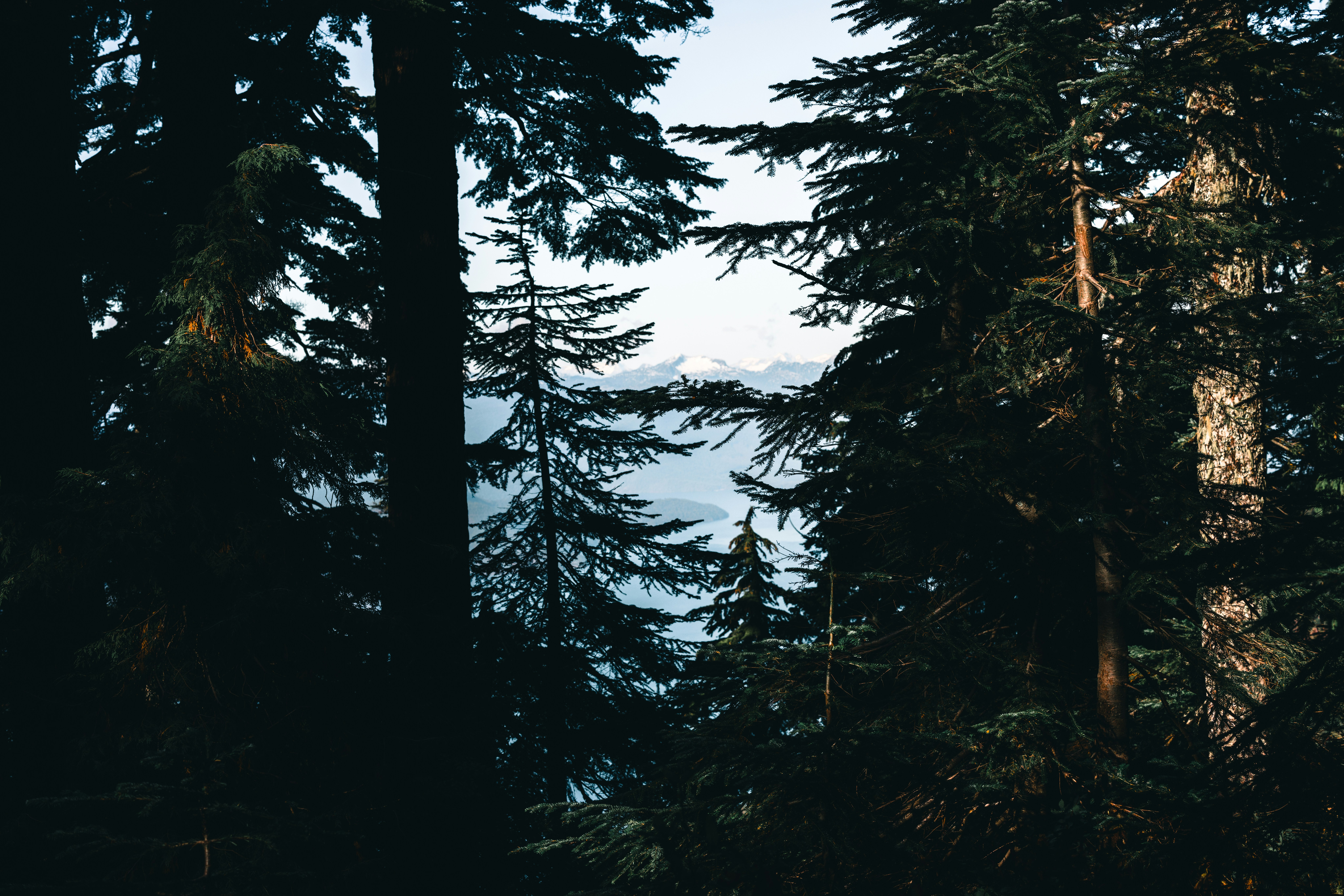 Photo by lureofadventure