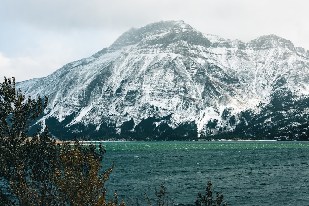 a mountain covered in snow next to a body of water