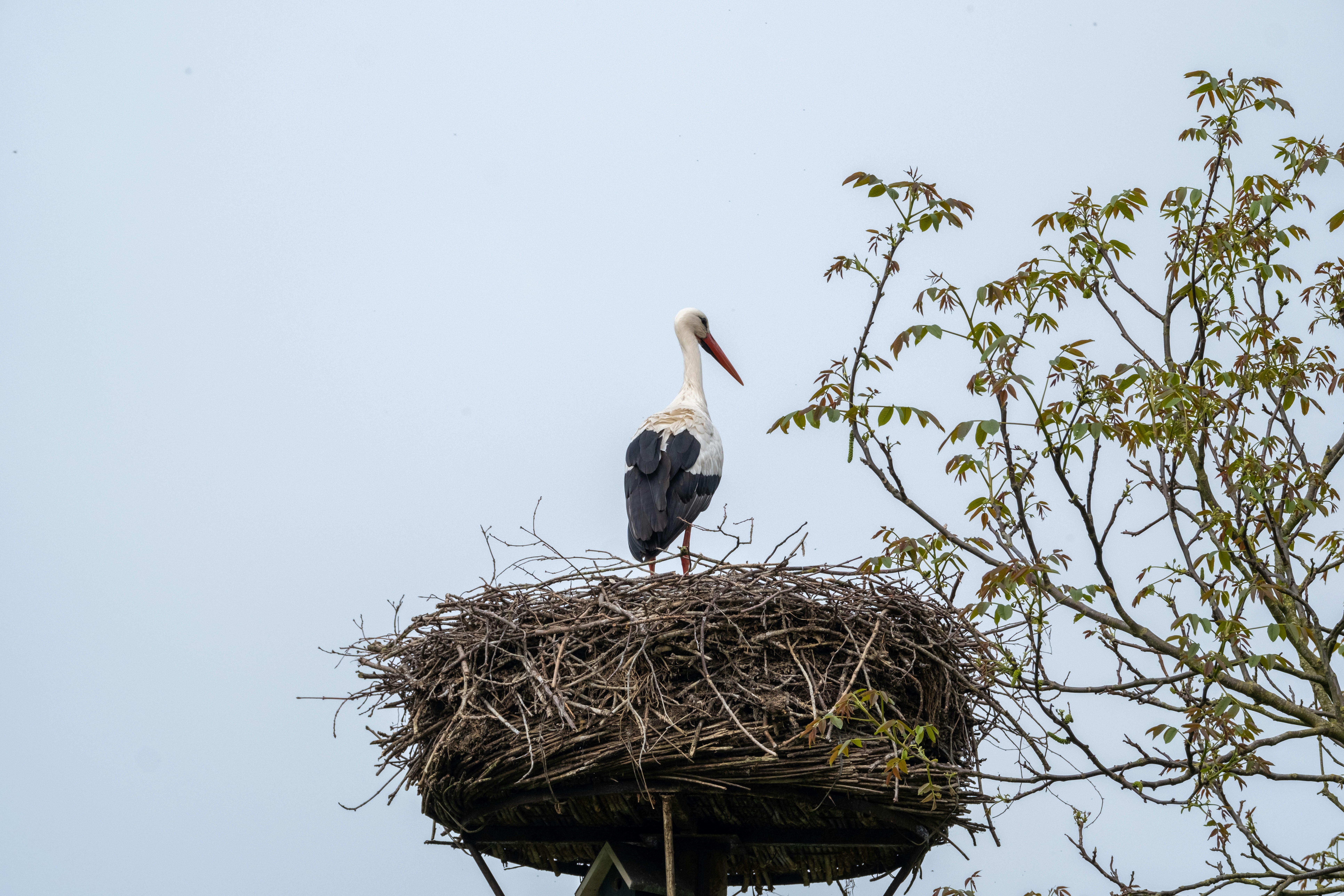 Photo by haberdoedas2