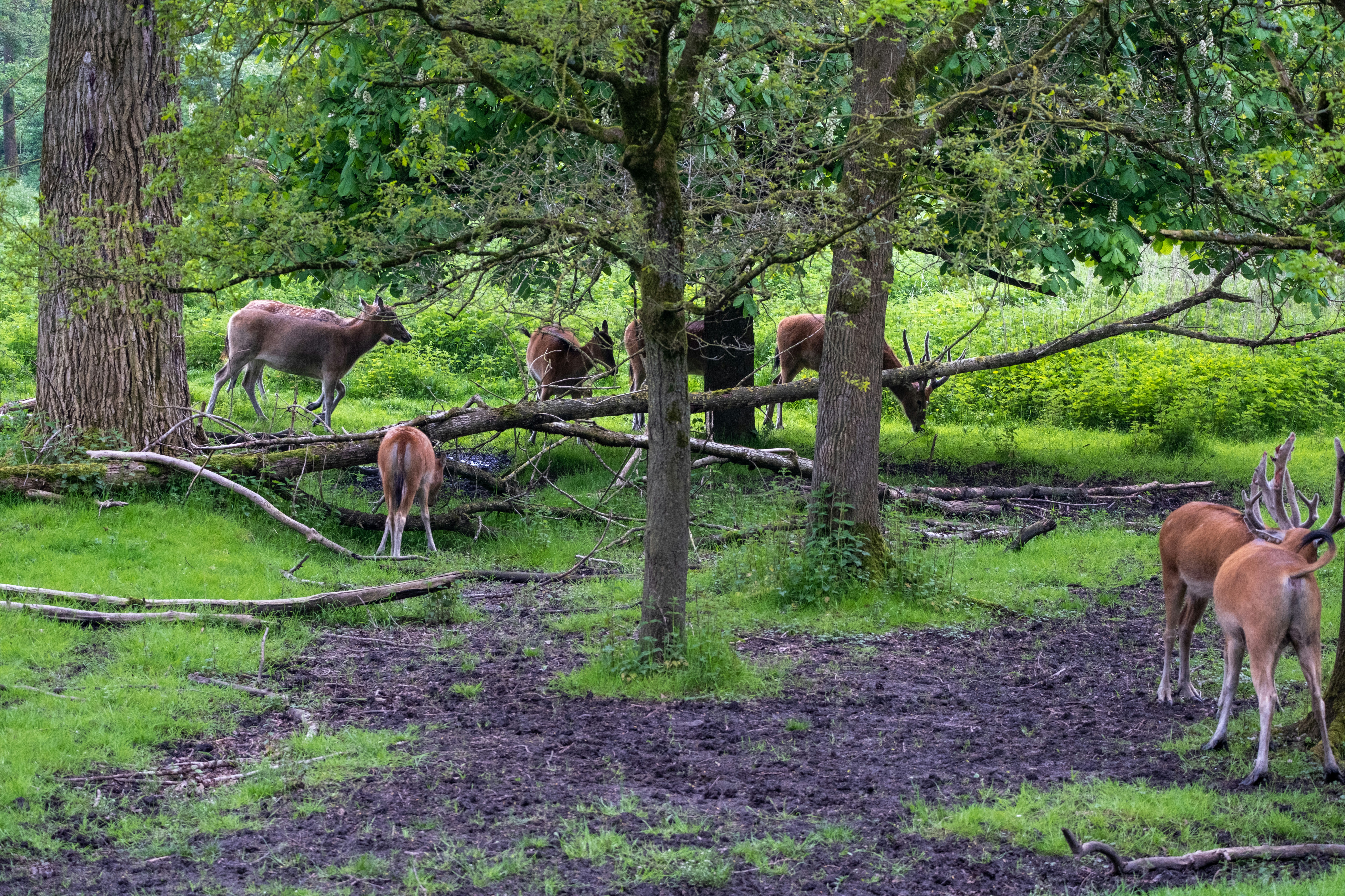 Photo by haberdoedas2