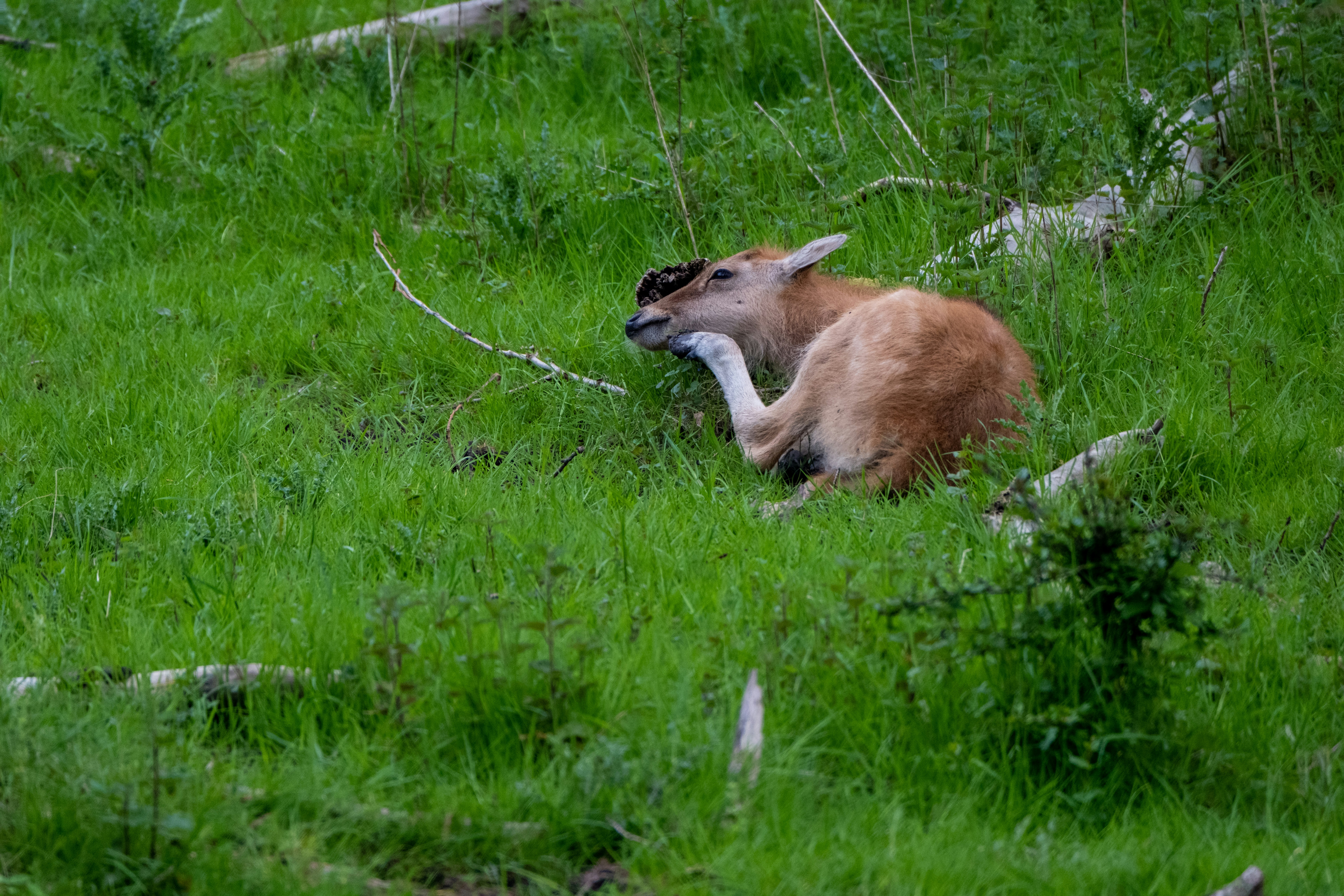 Photo by haberdoedas2