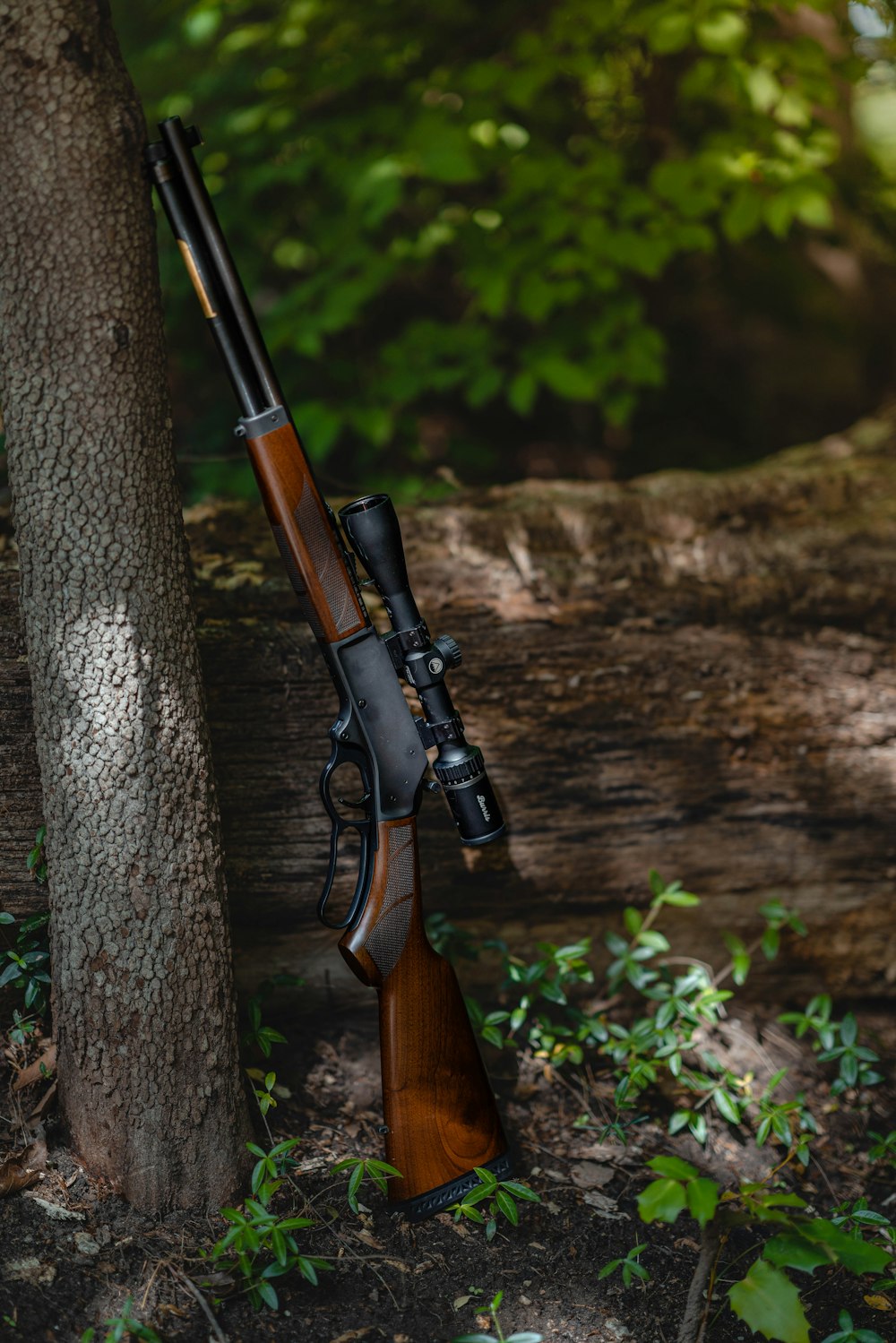 a rifle mounted to a tree in the woods