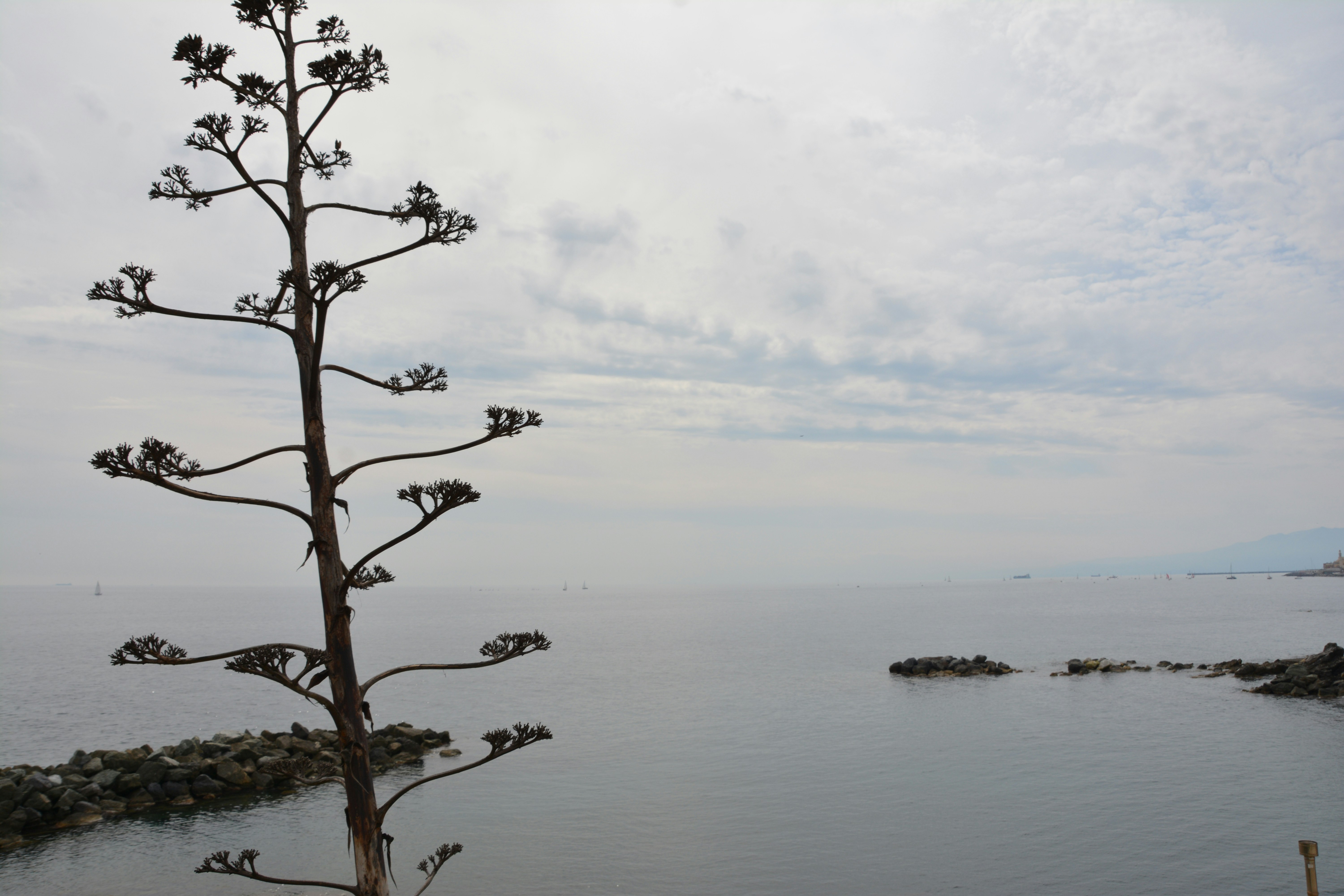 Photo by artististanbul