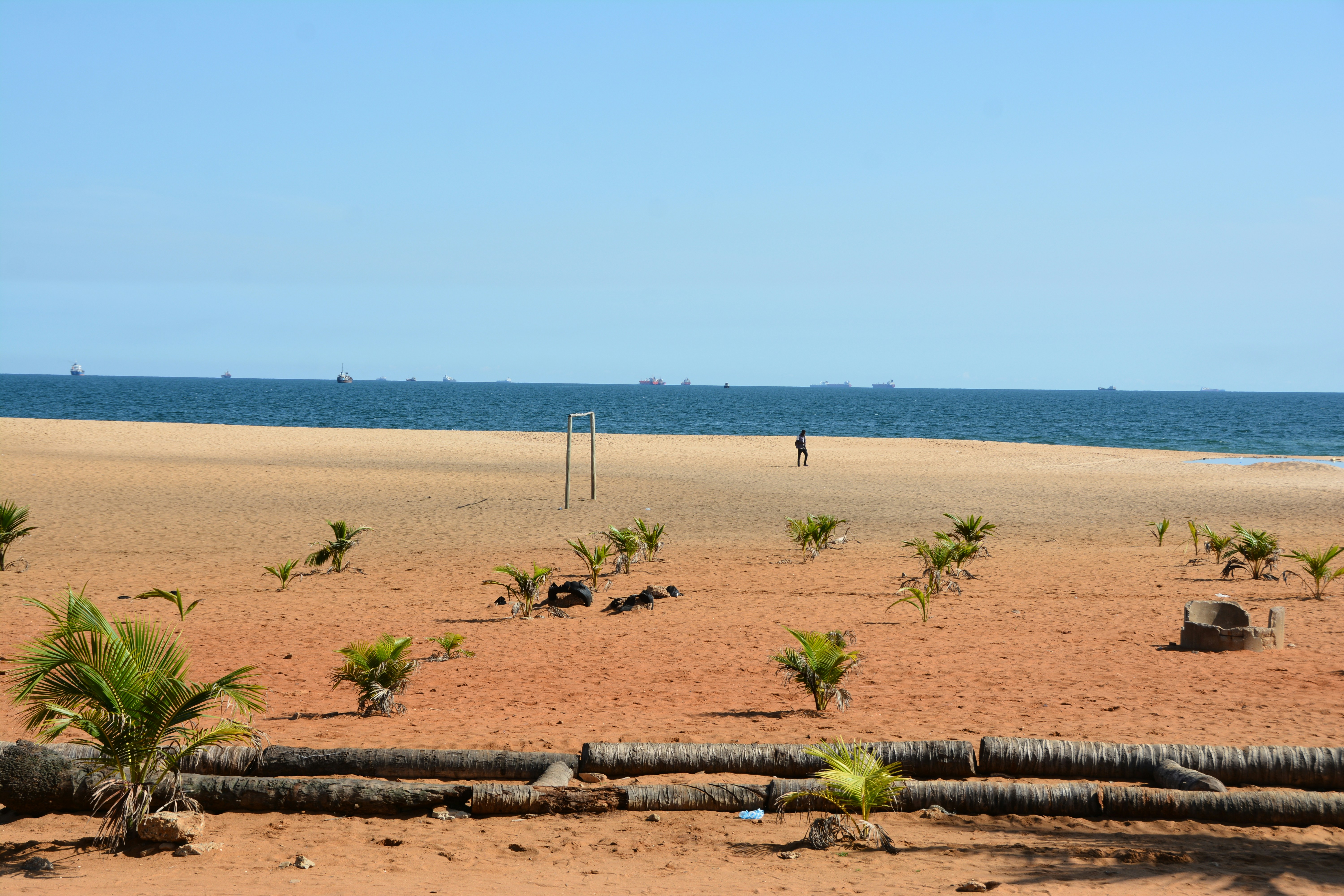 a beach with a volleyball court and palm trees