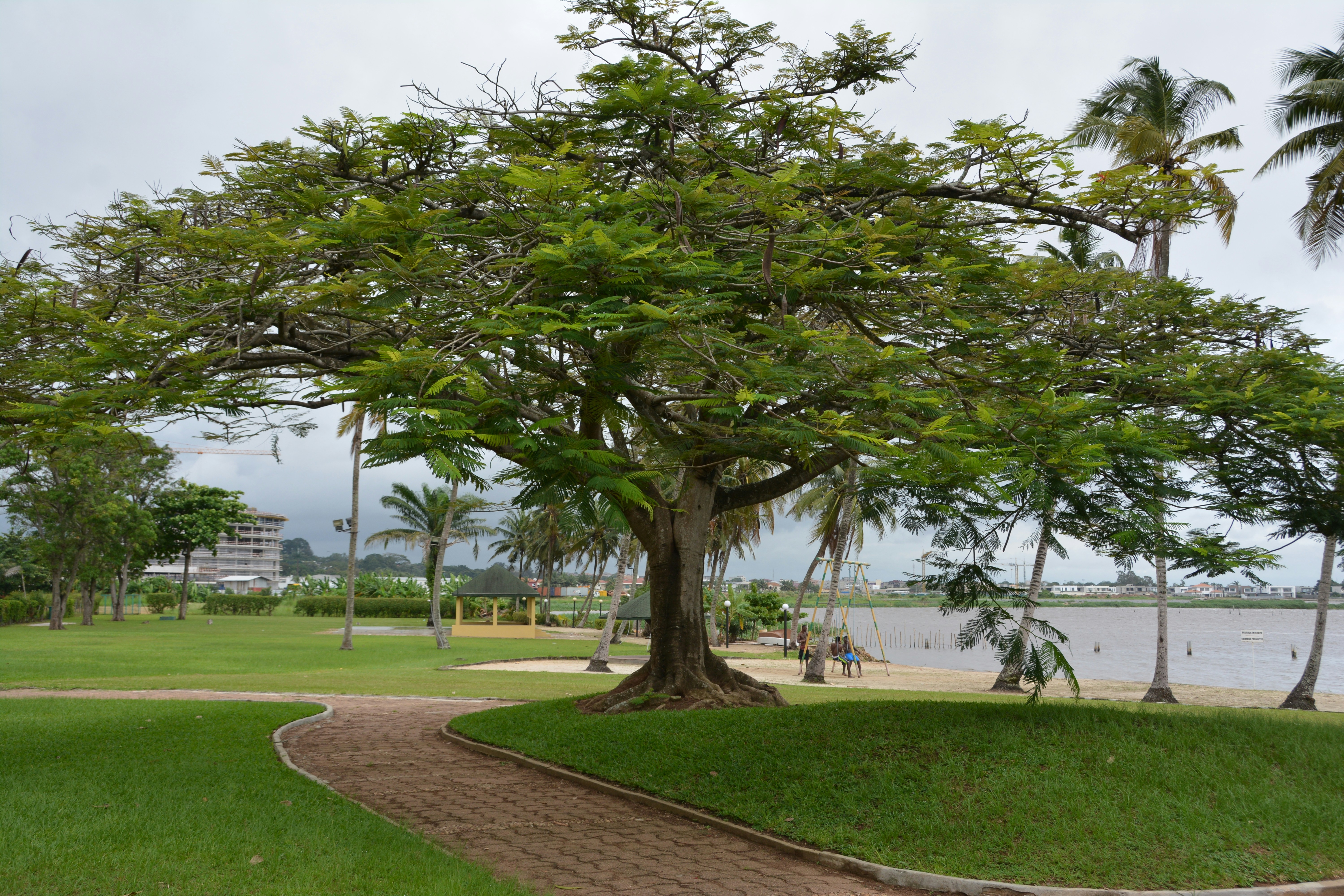 Photo by artististanbul