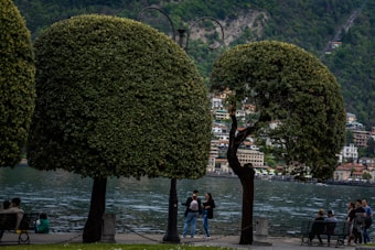 Lush green trees are trimmed in distinct shapes, set against a serene lakeside. People are seen sitting on benches and walking by, enjoying the scenic view. The backdrop consists of a mountain slope covered with dense forests and a row of picturesque buildings.