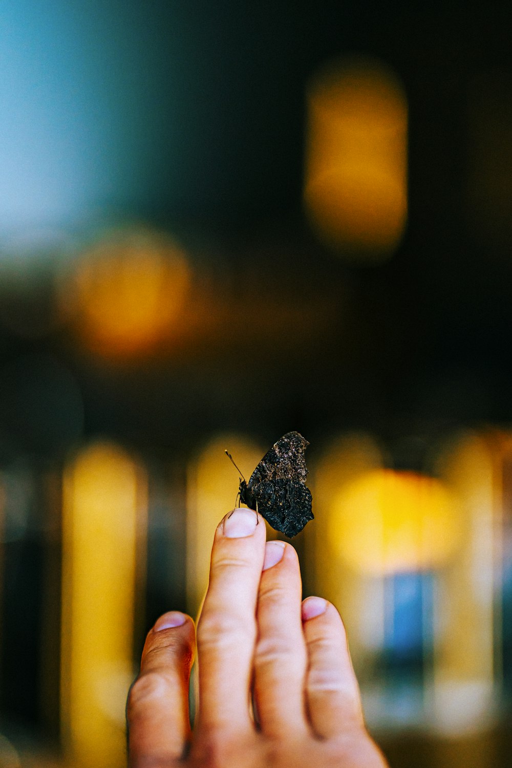 a person holding a small black insect in their hand