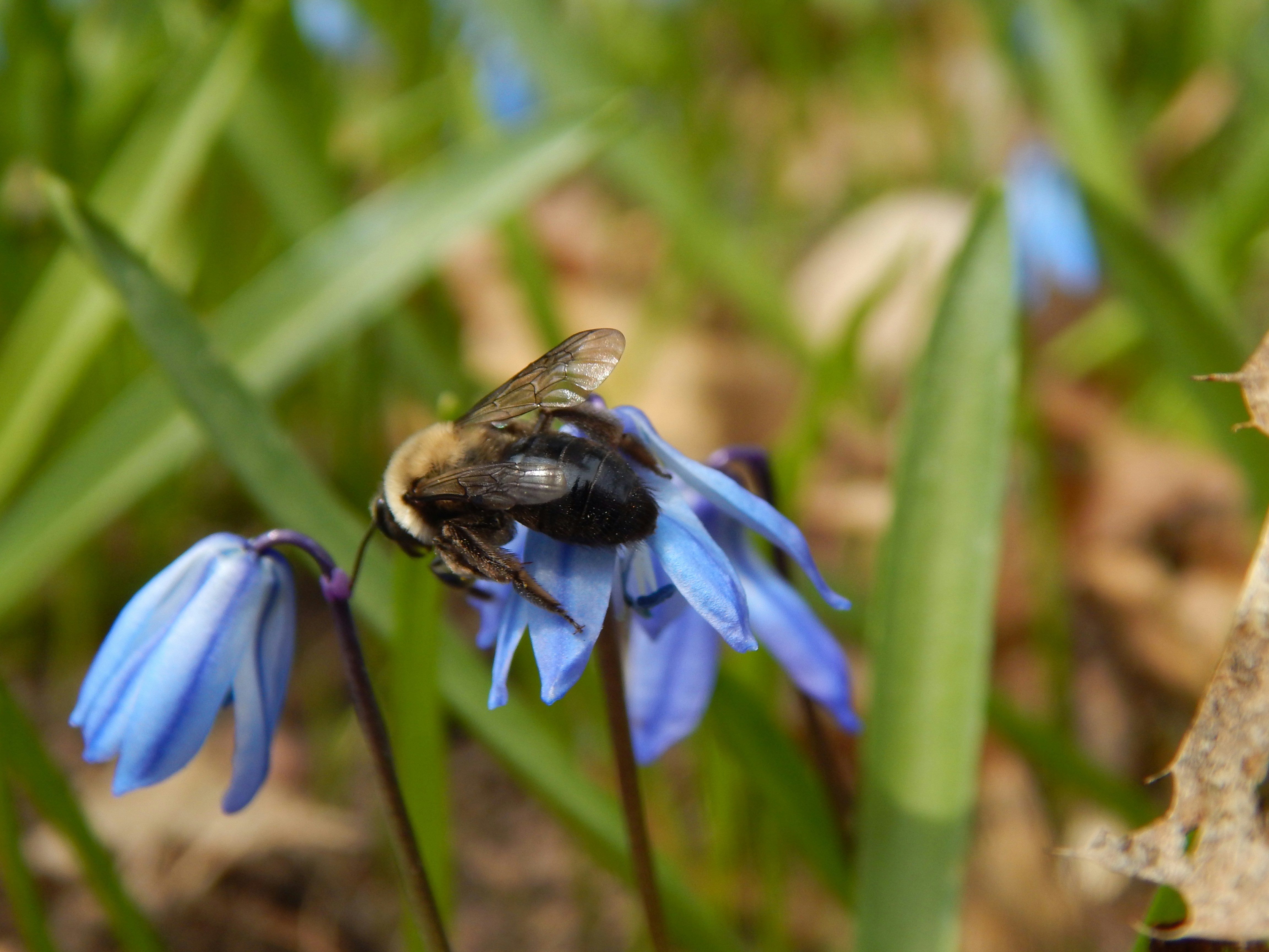 Photo by scarlettweiss