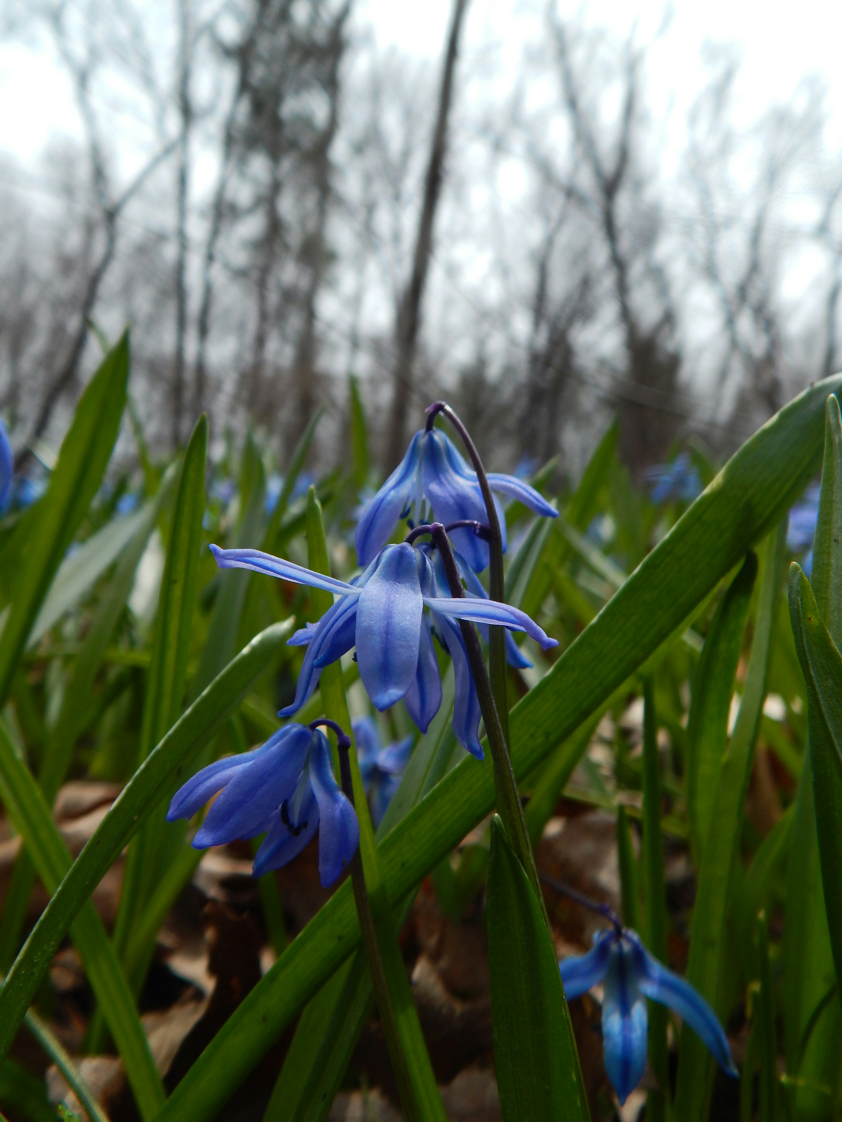 Photo by scarlettweiss