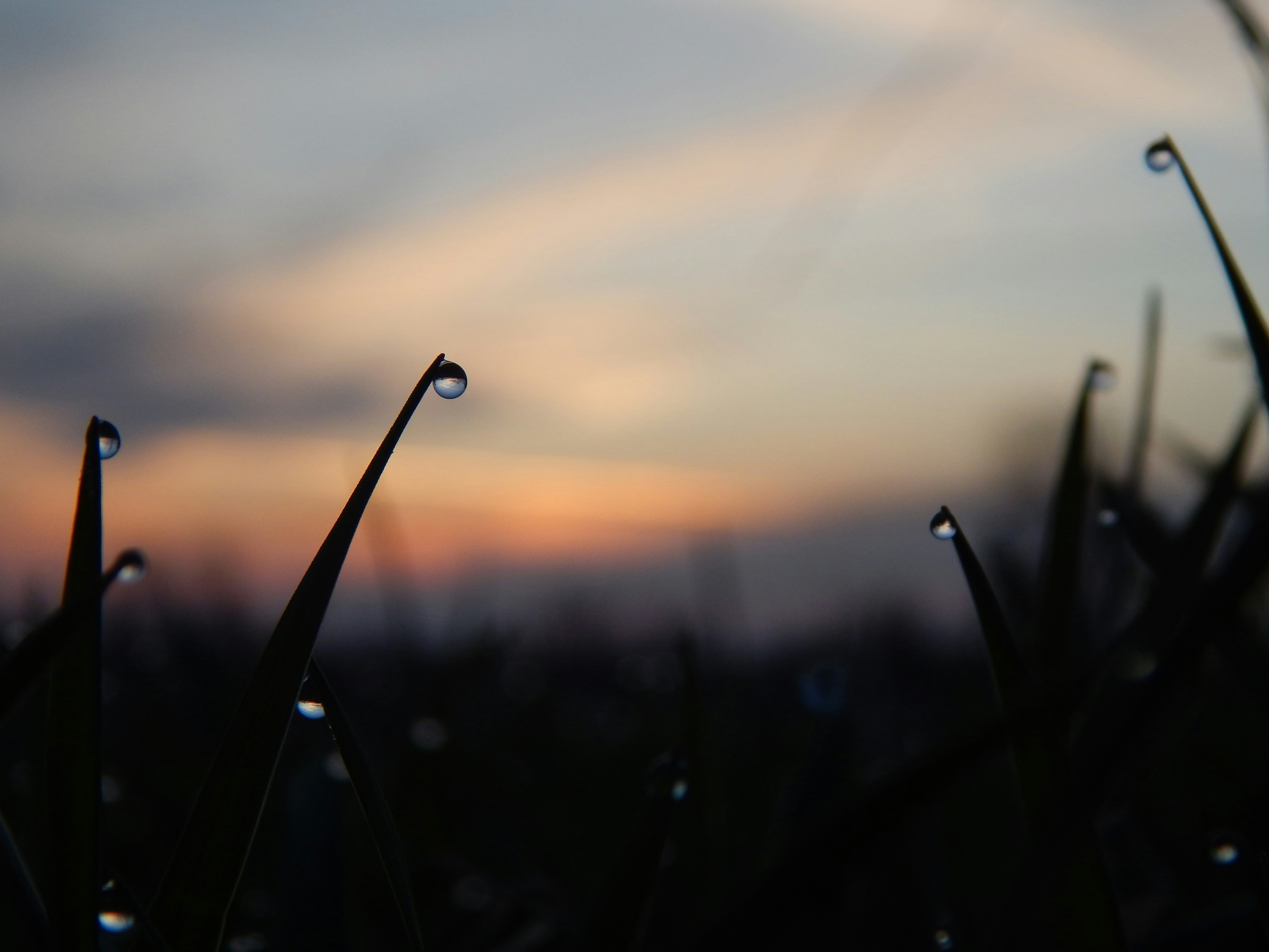 Photo by scarlettweiss