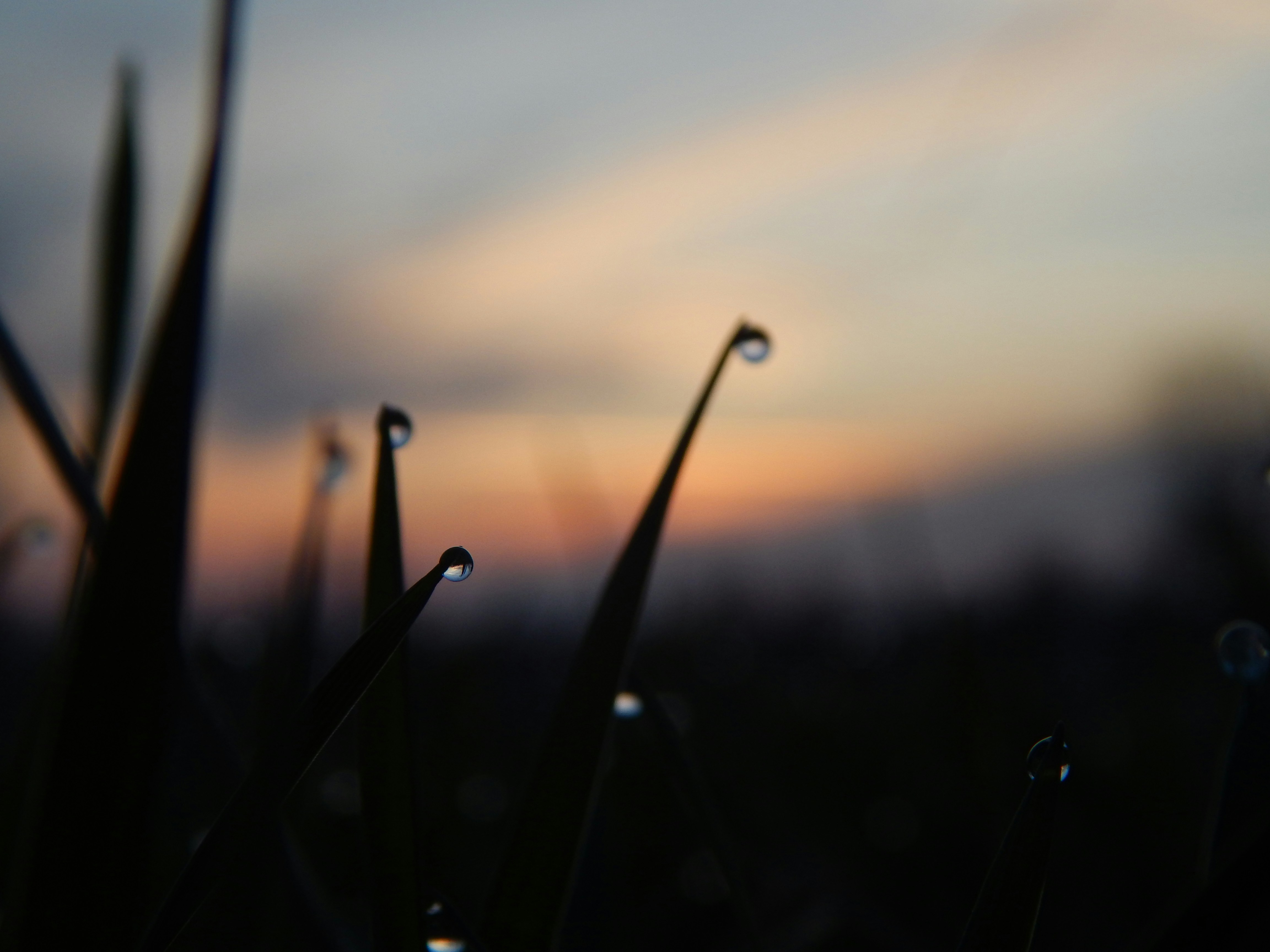 Photo by scarlettweiss