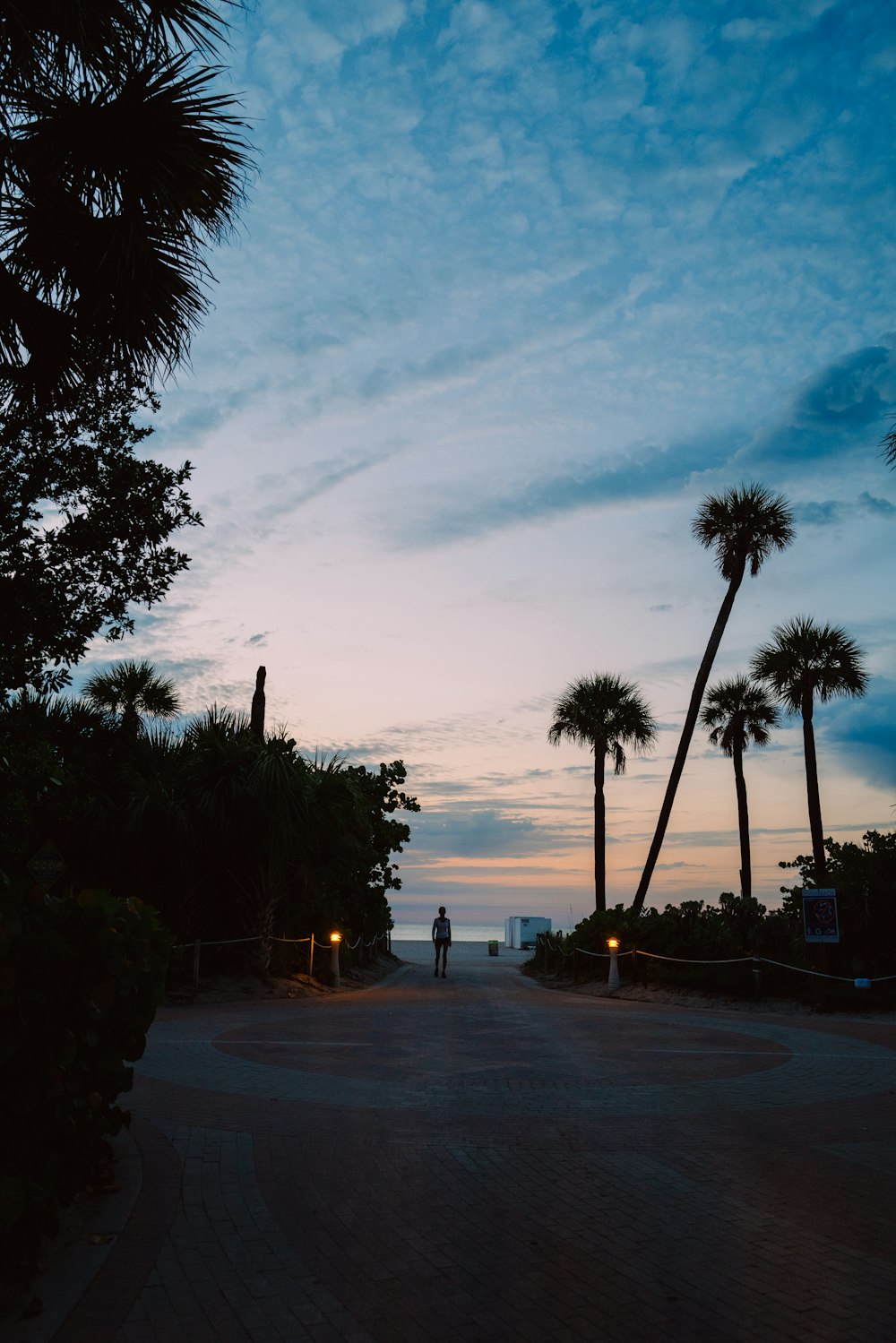 a person standing on the side of a road next to palm trees