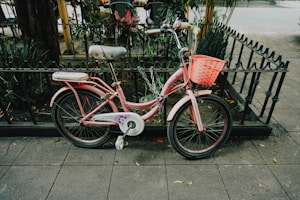 Junior Cruiser