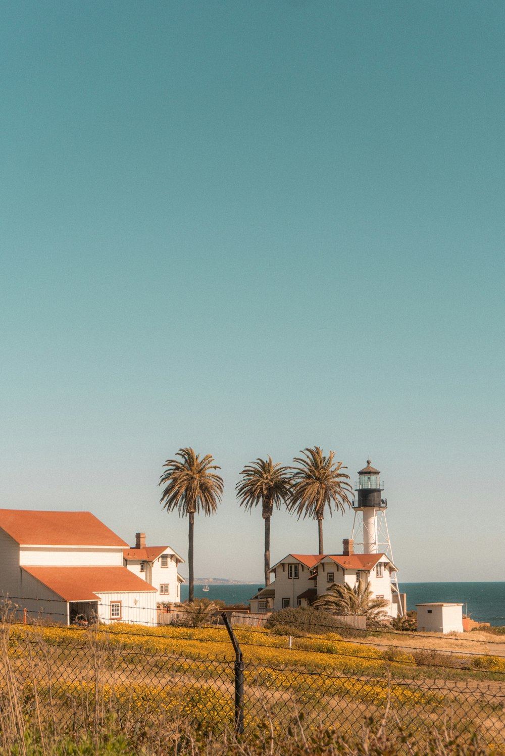 a couple of palm trees in front of a lighthouse