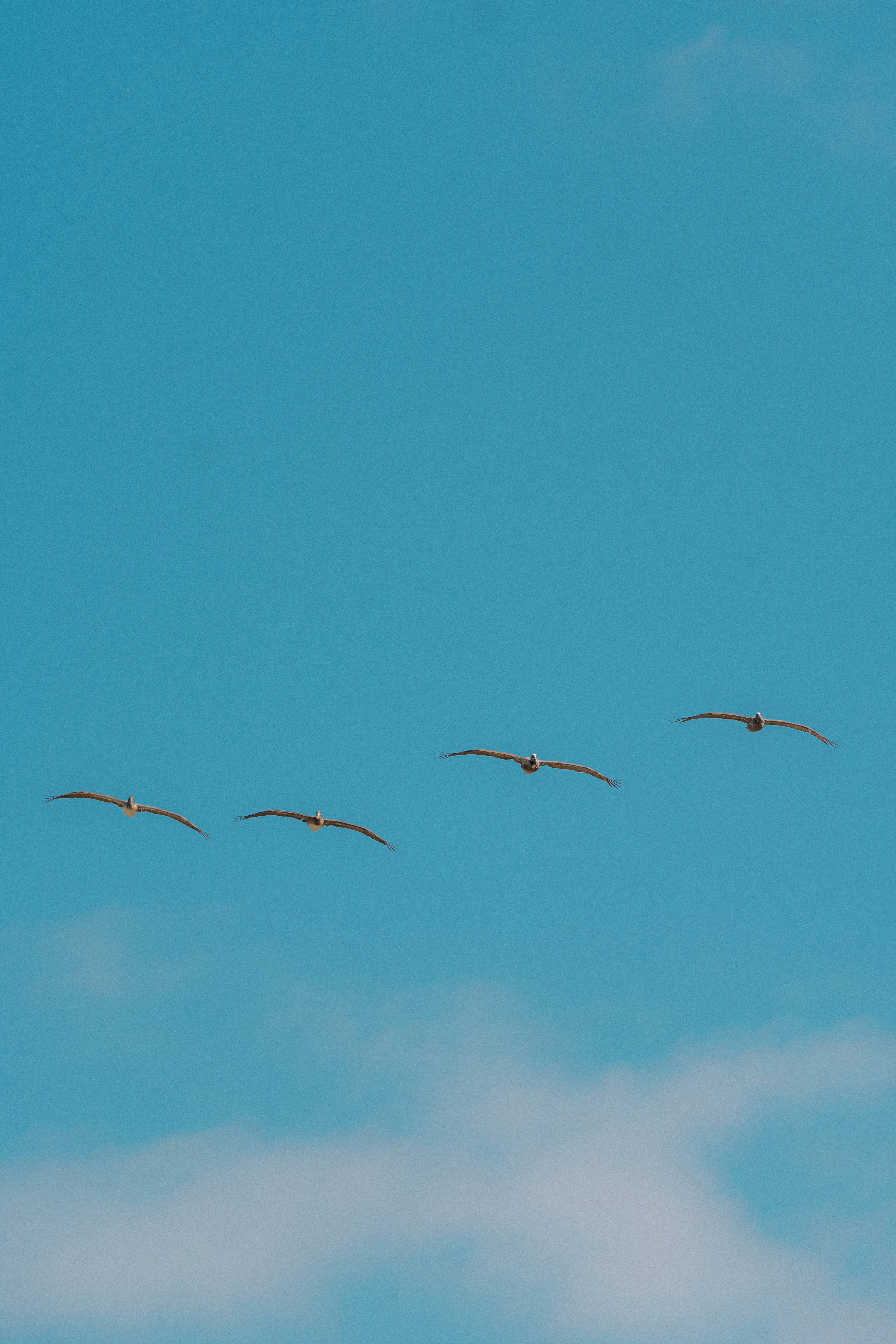 Photo by carterledford