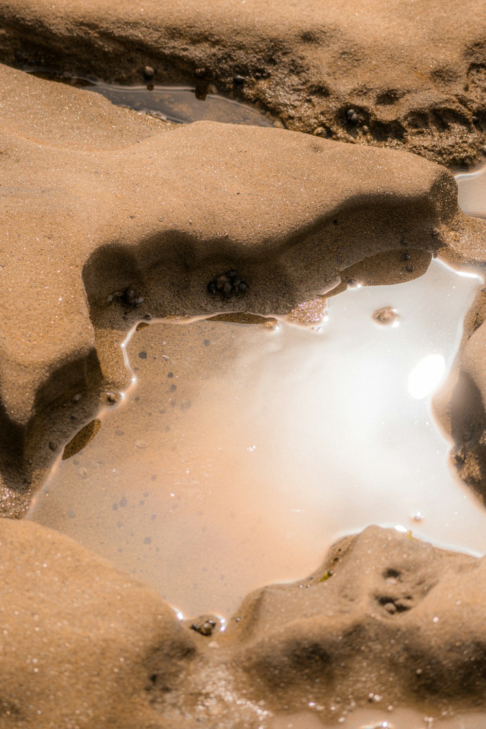a small puddle of water in the sand