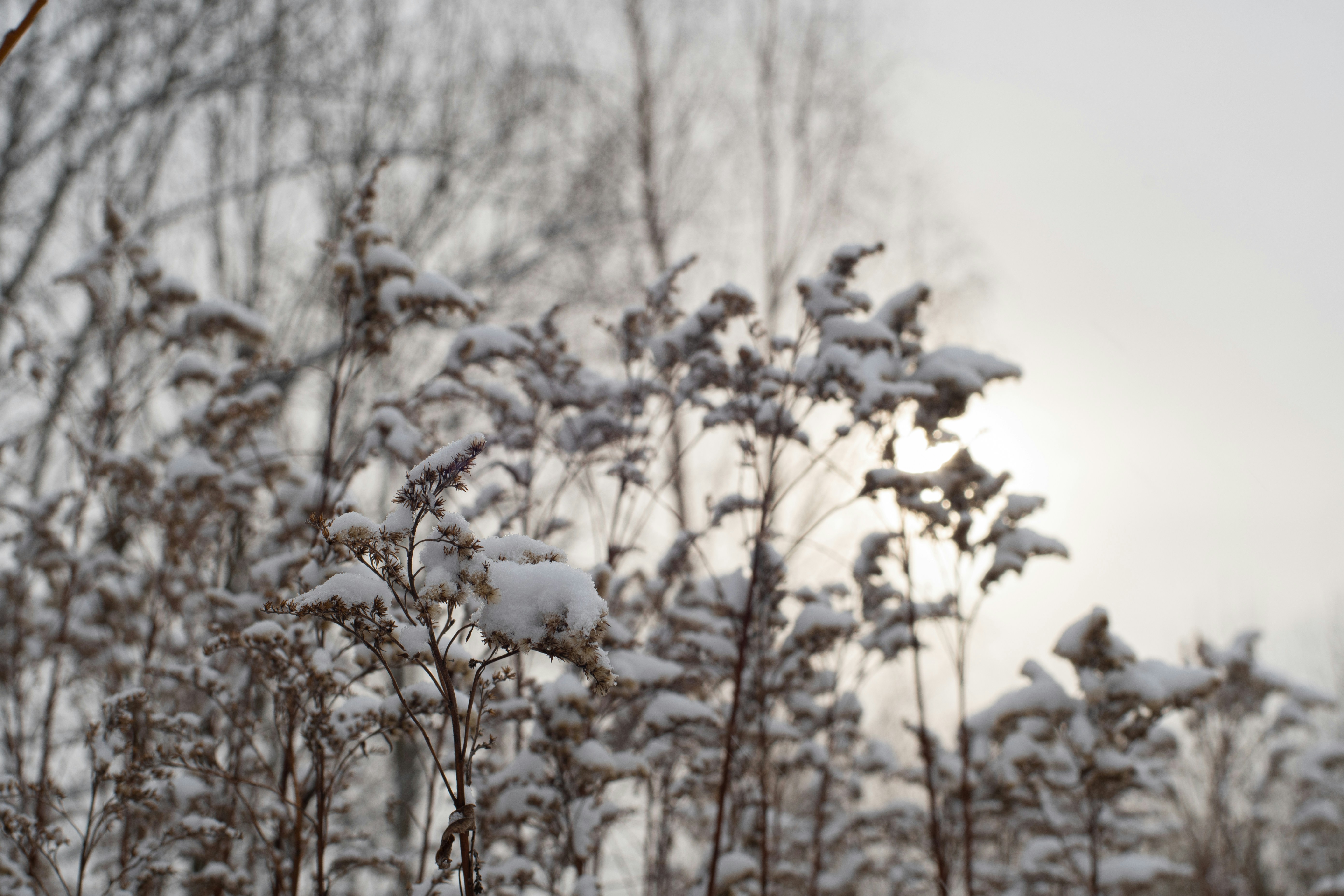 Photo by nataliaraylenegusakova