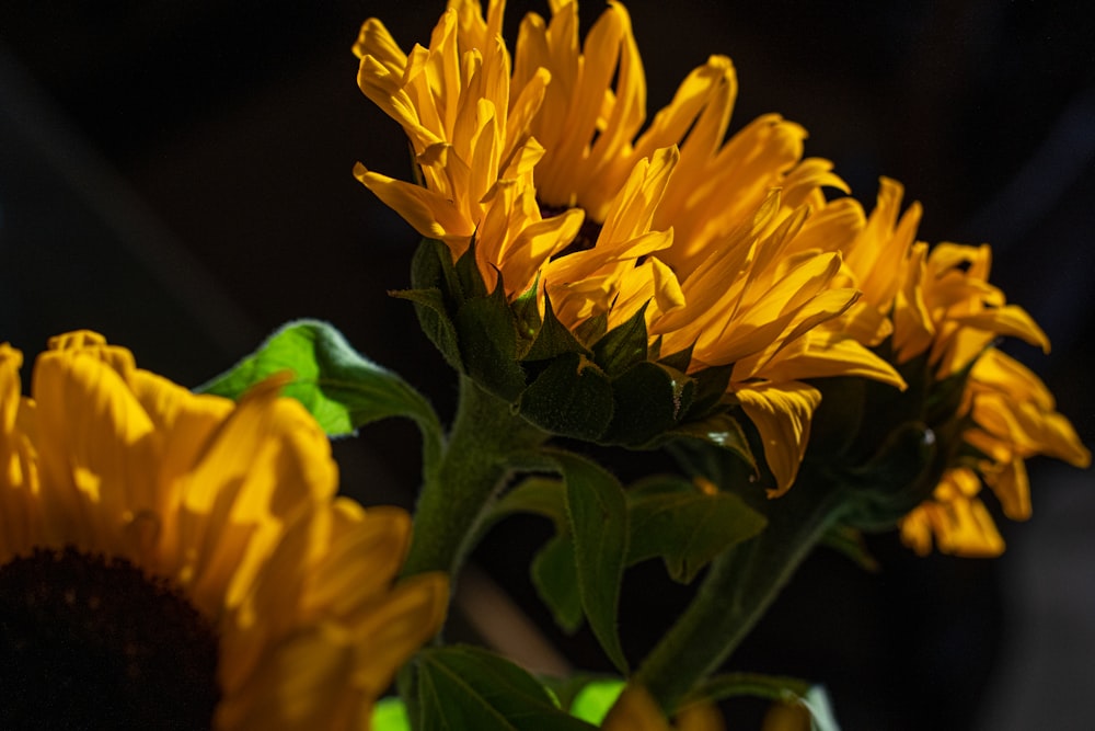 a vase filled with yellow sunflowers on top of a table