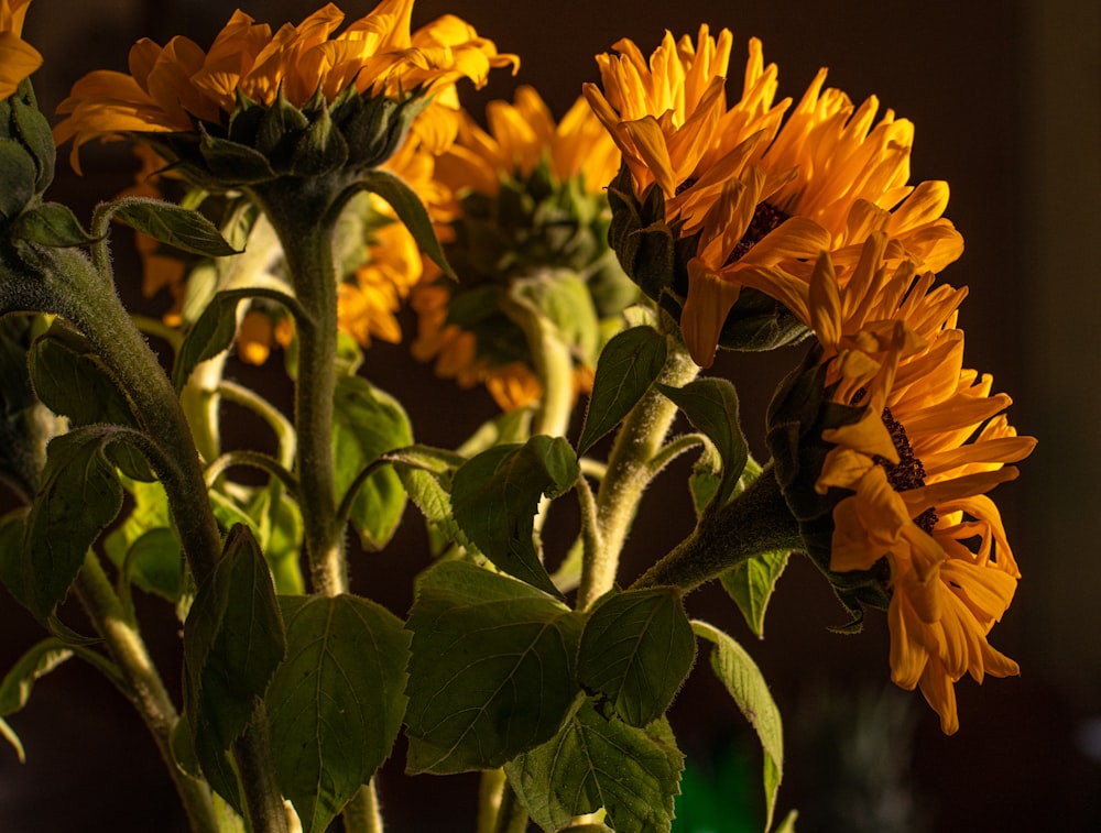 a vase filled with yellow flowers on top of a table