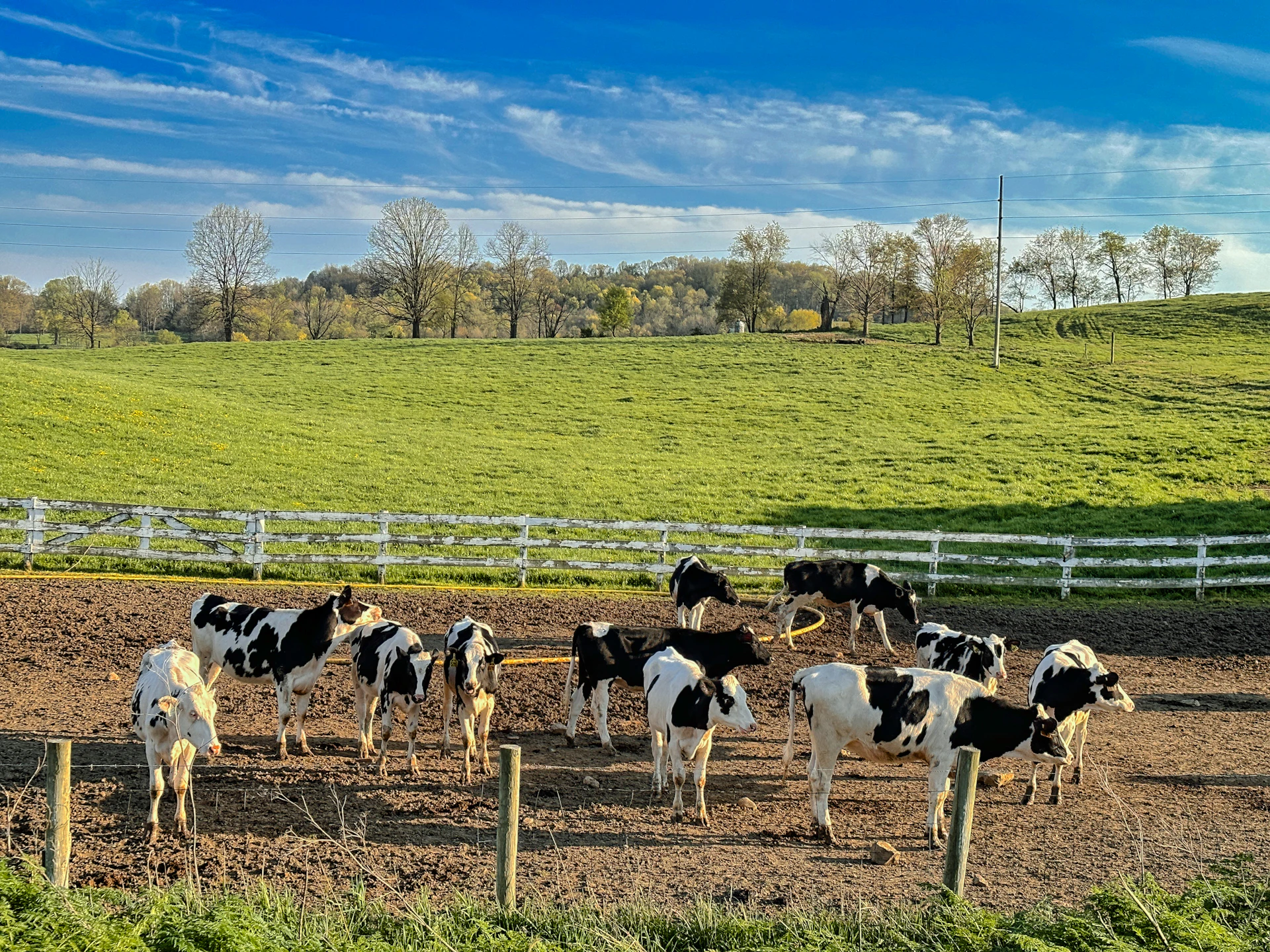 Stainless Steel Dairy Tanks and Process Equipment
