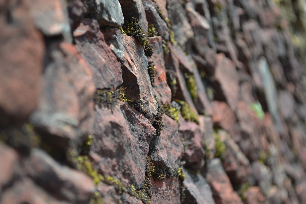 a close up of a rock wall with moss growing on it