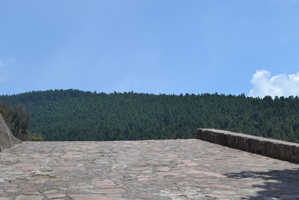 a stone walkway with a mountain in the background