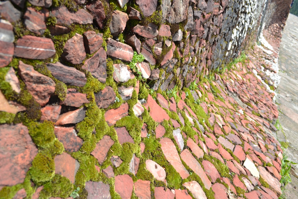 un muro di mattoni con muschio che cresce su di esso