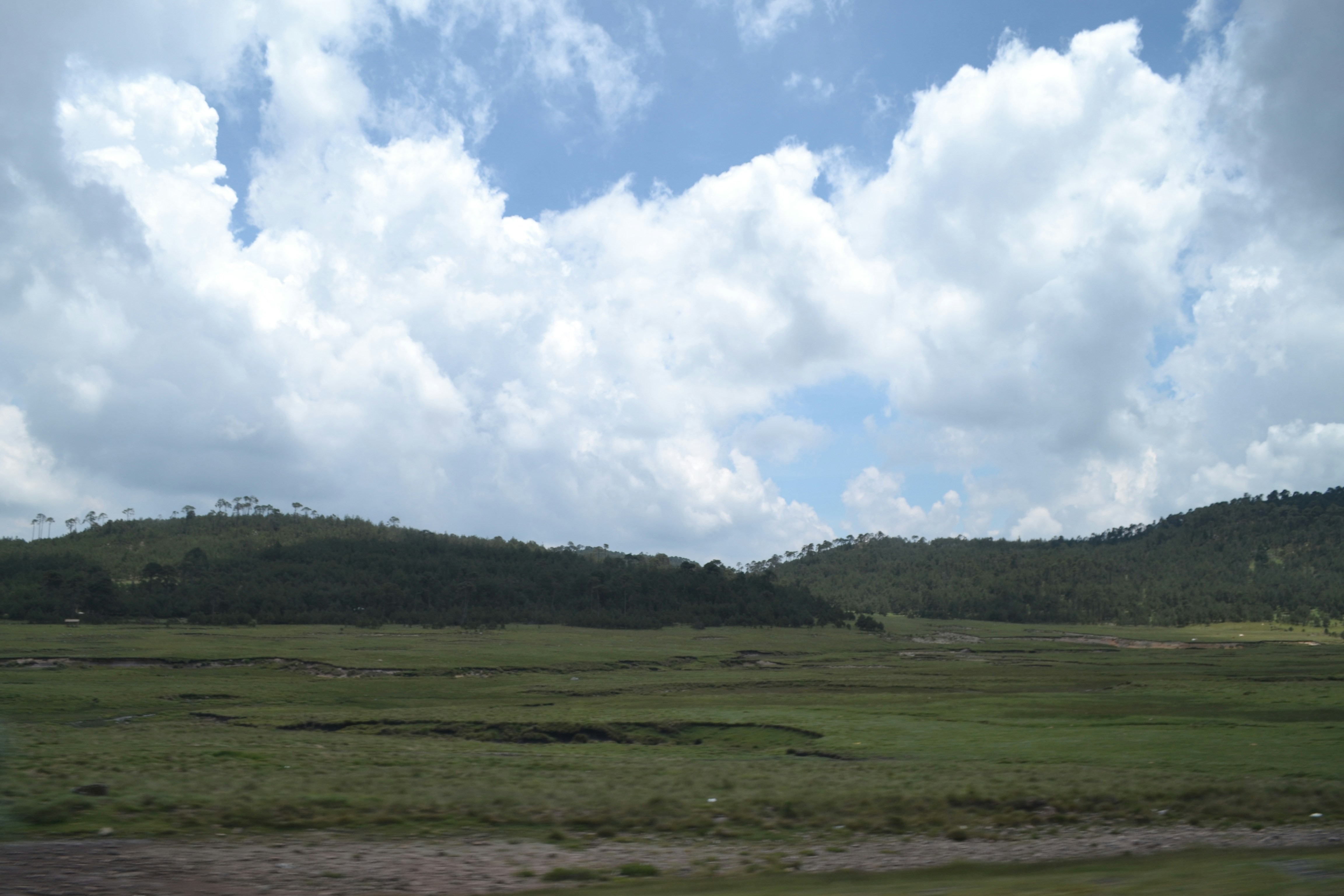 a grassy field with a hill in the background