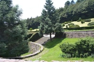 A scenic outdoor landscape featuring a variety of green trees and shrubs. A large tree stands prominently in the center, surrounded by well-manicured bushes and grass. Stone steps lead upwards, flanked by stone walls, creating a structured garden layout. The background is filled with a dense forest of evergreens.