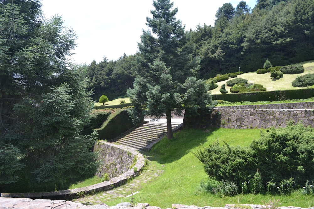 a lush green hillside covered in lots of trees