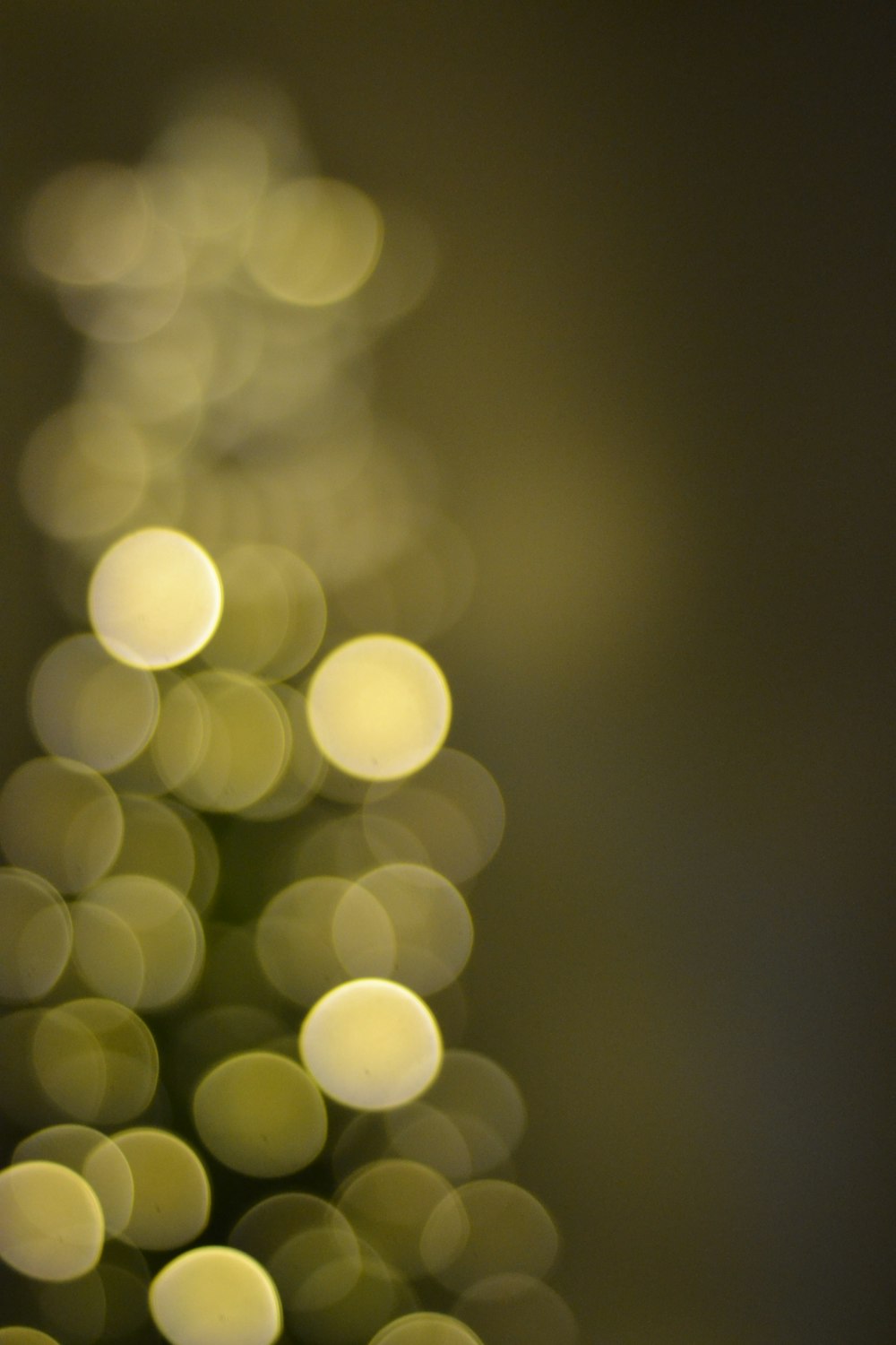 a blurry photo of a small christmas tree