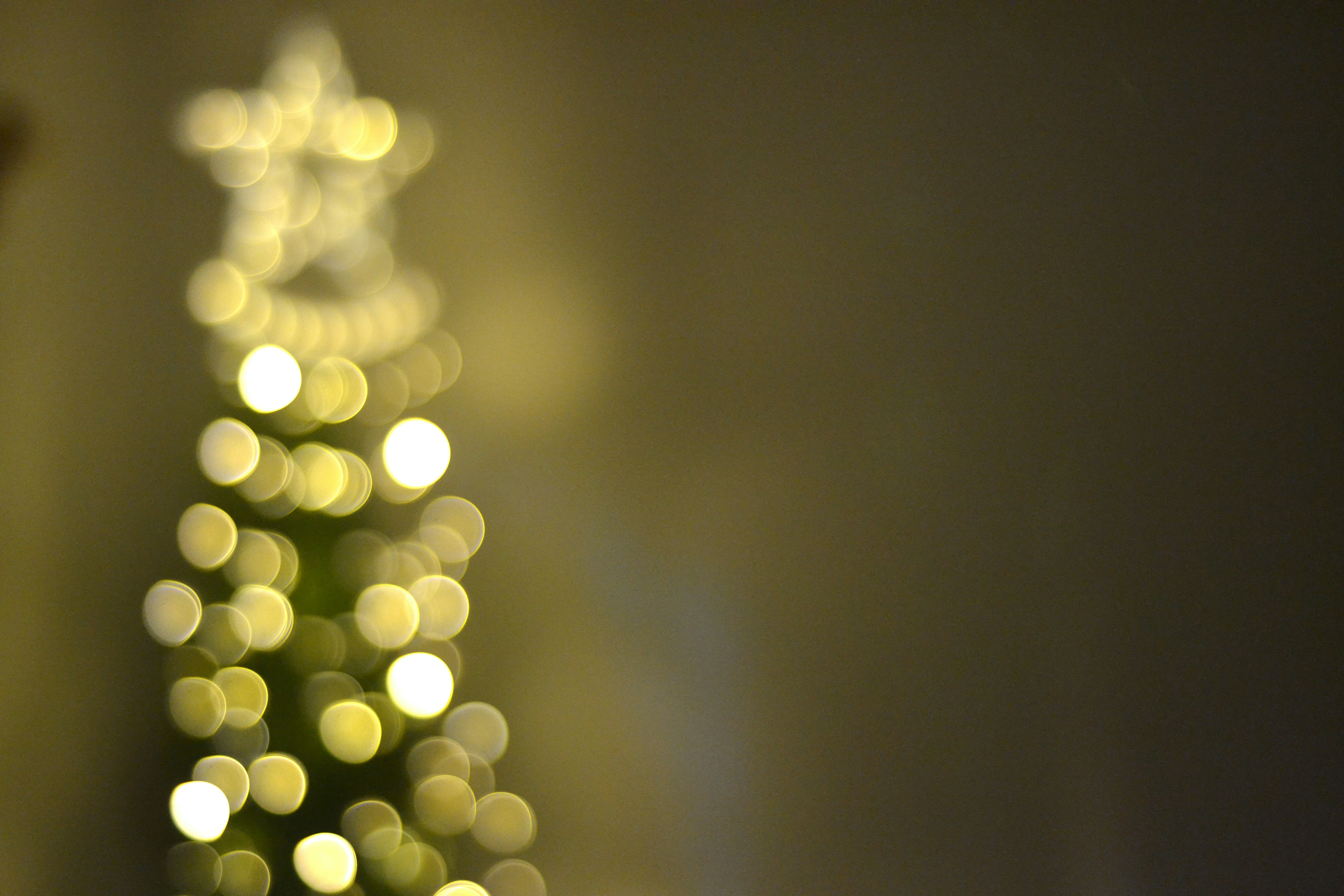 a blurry photo of a small christmas tree