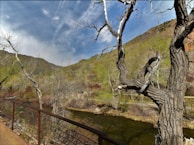 A tranquil scene of nature highlighting accessible viewpoints.
