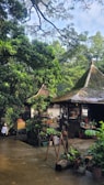 A lush, green setting with traditional thatched-roof structures surrounded by dense foliage. Various potted plants are arranged around the buildings, and a person wearing a hat walks along a path, contributing to a serene and natural atmosphere.