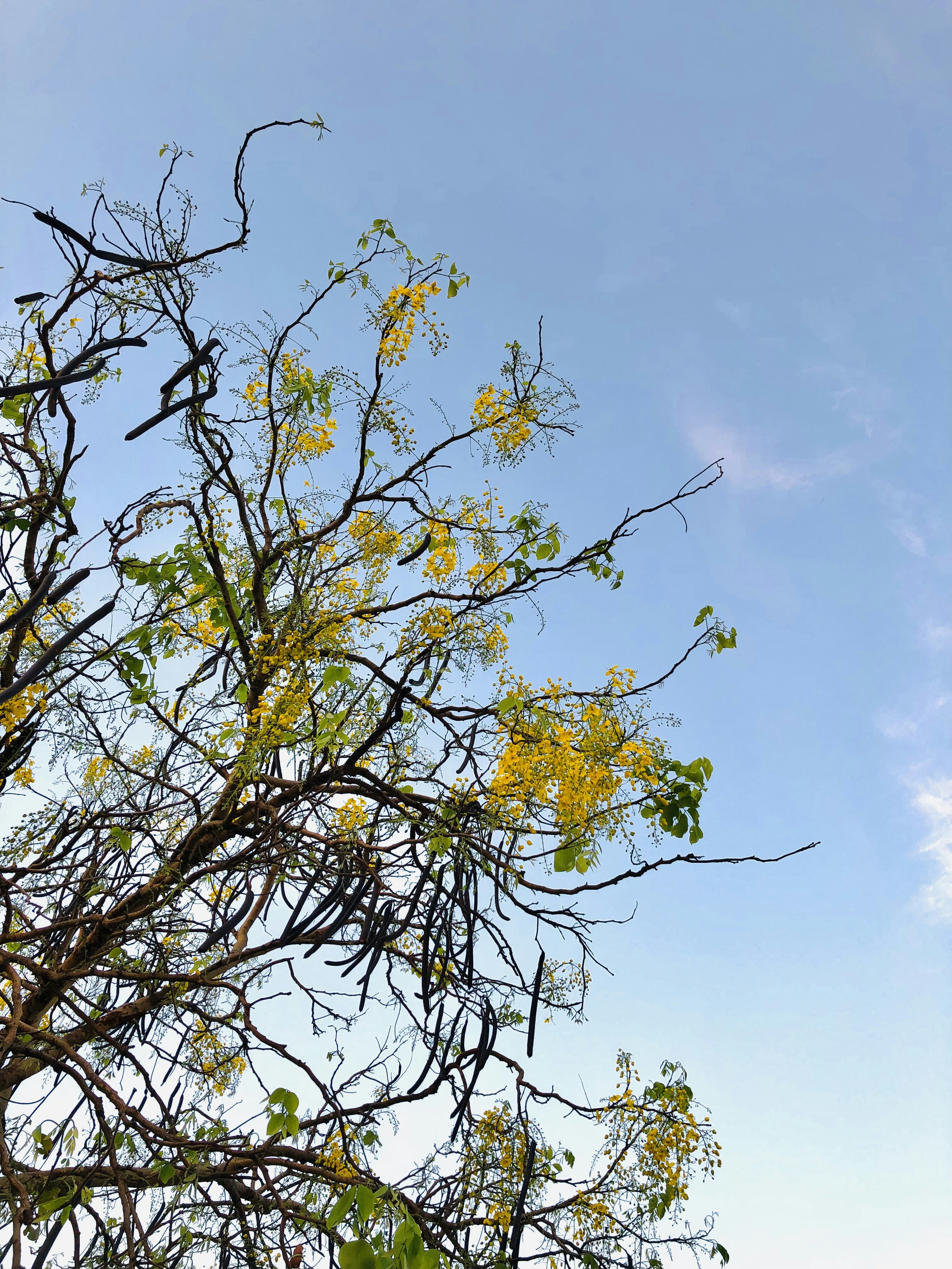 Photo by shakibkhan5526