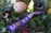 A wreath with various green leaves, red berries, and a large, spiky flower is adorned with a purple ribbon bearing the inscription 'LEST WE FORGET' in gold letters.