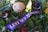 A wreath with various green leaves, red berries, and a large, spiky flower is adorned with a purple ribbon bearing the inscription 'LEST WE FORGET' in gold letters.