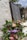 A memorial wreath adorned with green foliage and various flowers, including red and pink proteas, is placed by a stone memorial. The wreath features a purple ribbon with 'LEST WE FORGET' in gold lettering. The stone has engraved names, indicating a tribute to fallen soldiers. In the background, there are additional floral arrangements and blurred greenery.