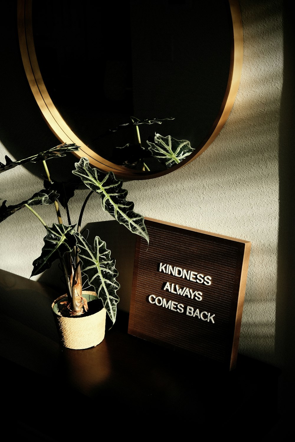 Una pianta in vaso accanto a un cartello che dice che la gentilezza torna  sempre foto – Pianta in vaso Immagine gratuita su Unsplash