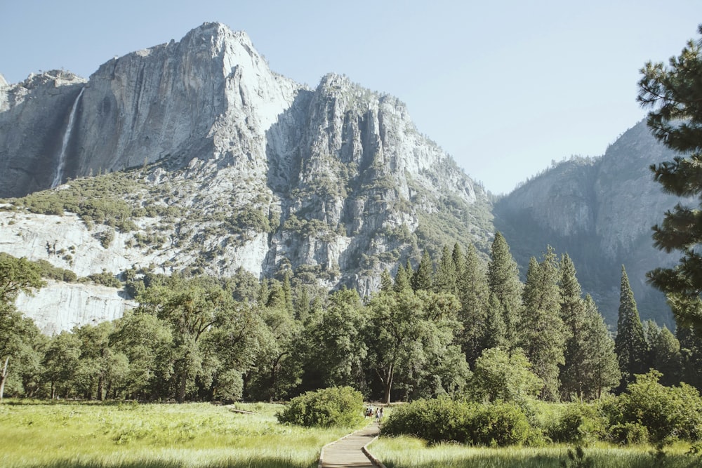 a scenic view of a mountain range with a path in the foreground