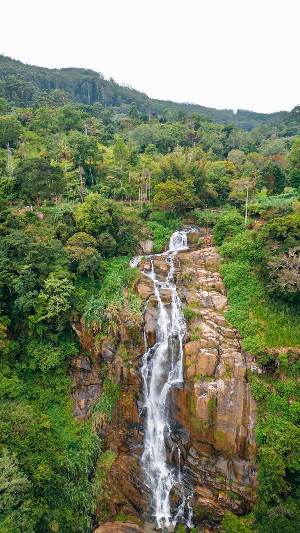 a waterfall in the middle of a lush green forest